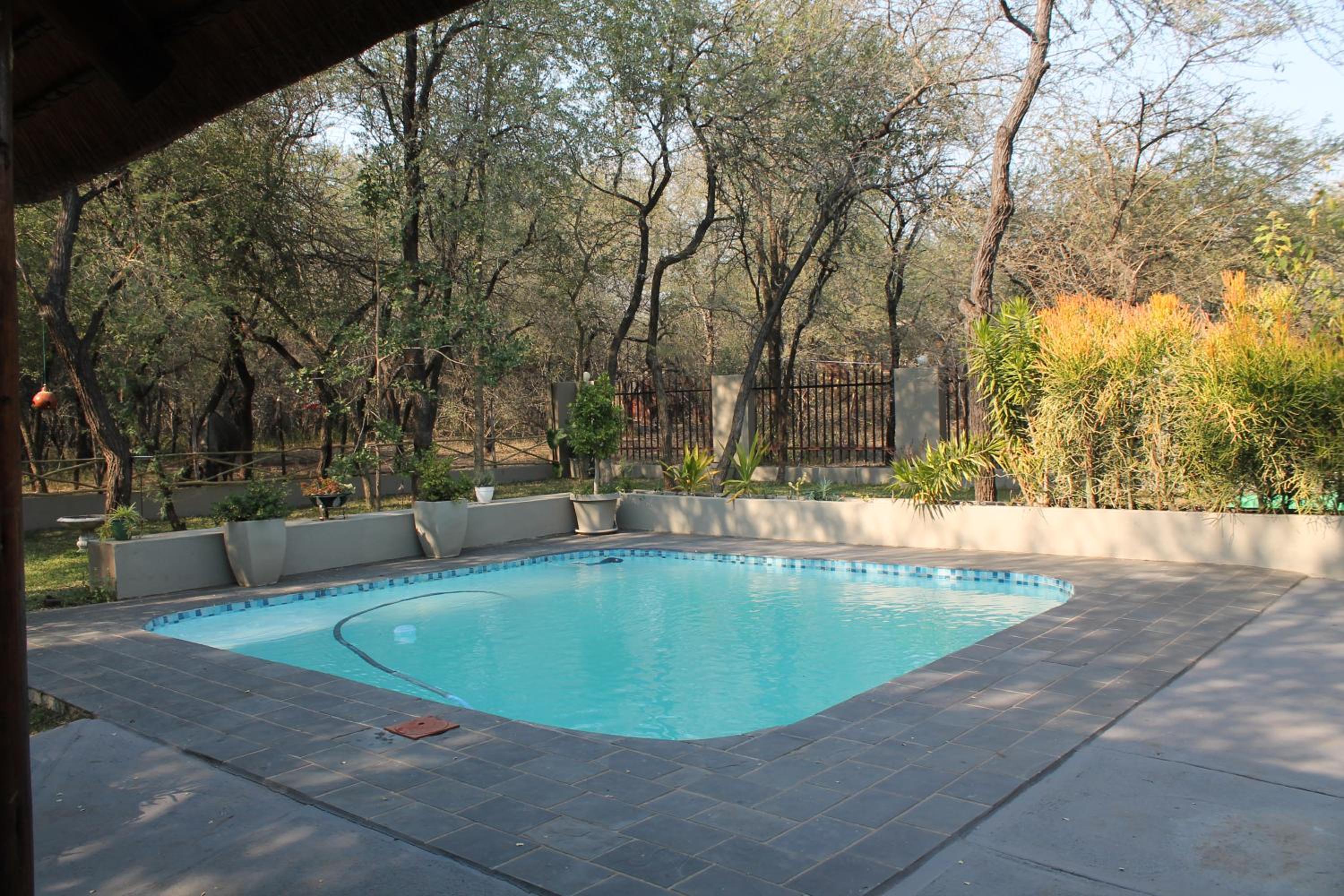 Superior King Suite - Photo 26