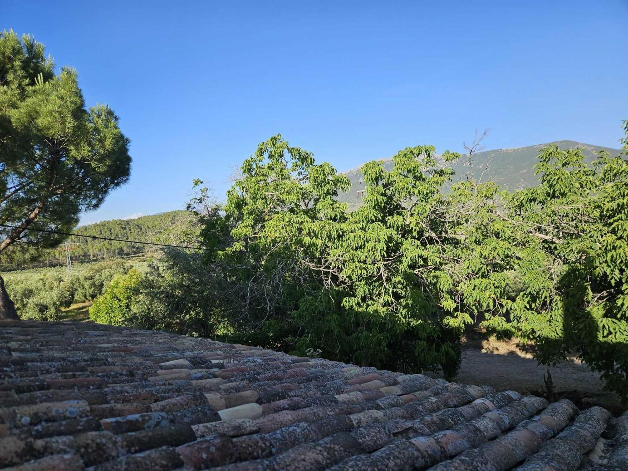 Apartment with Mountain View - Photo 8