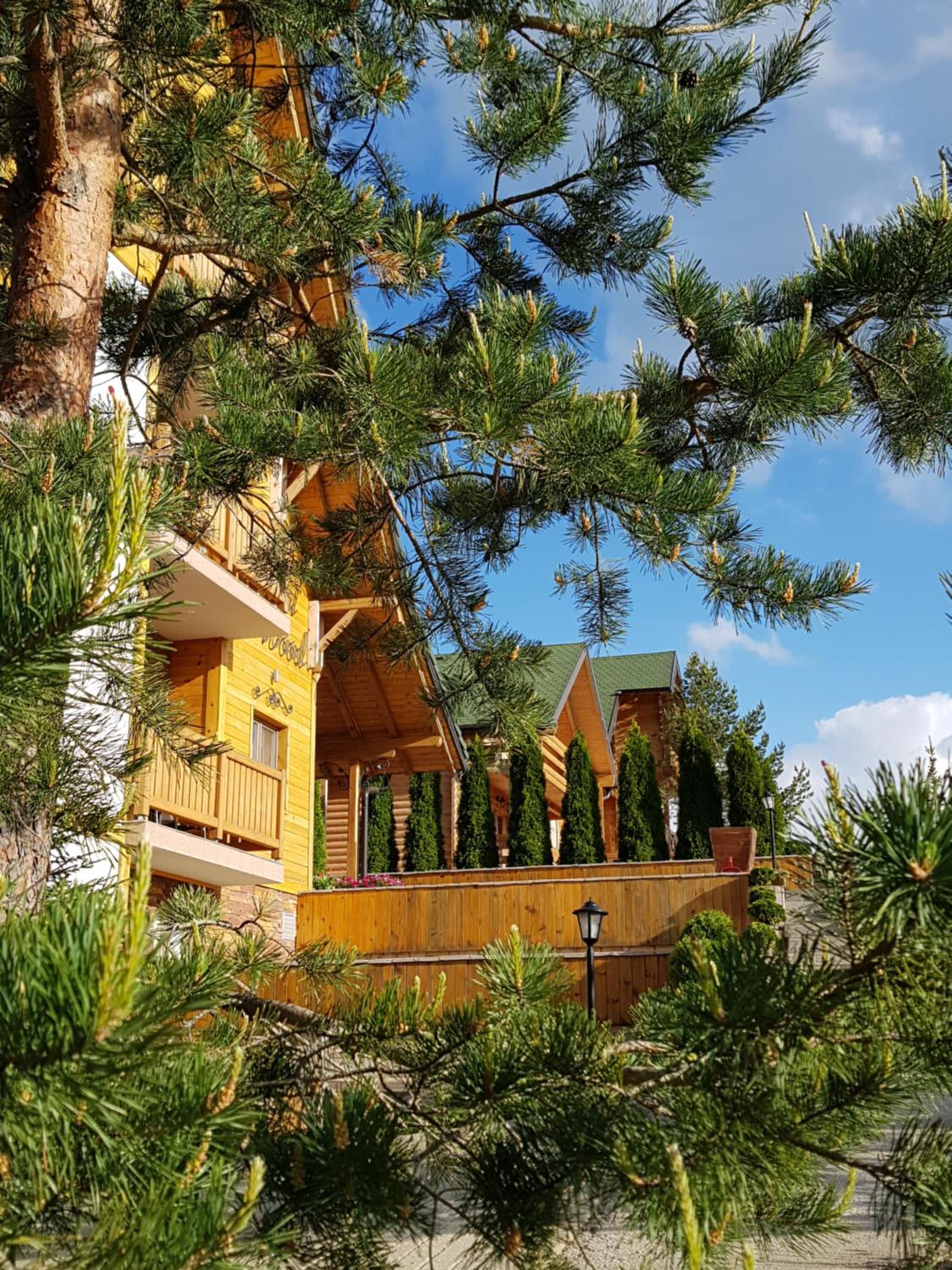 Three-Bedroom Chalet with Terrace photo 2