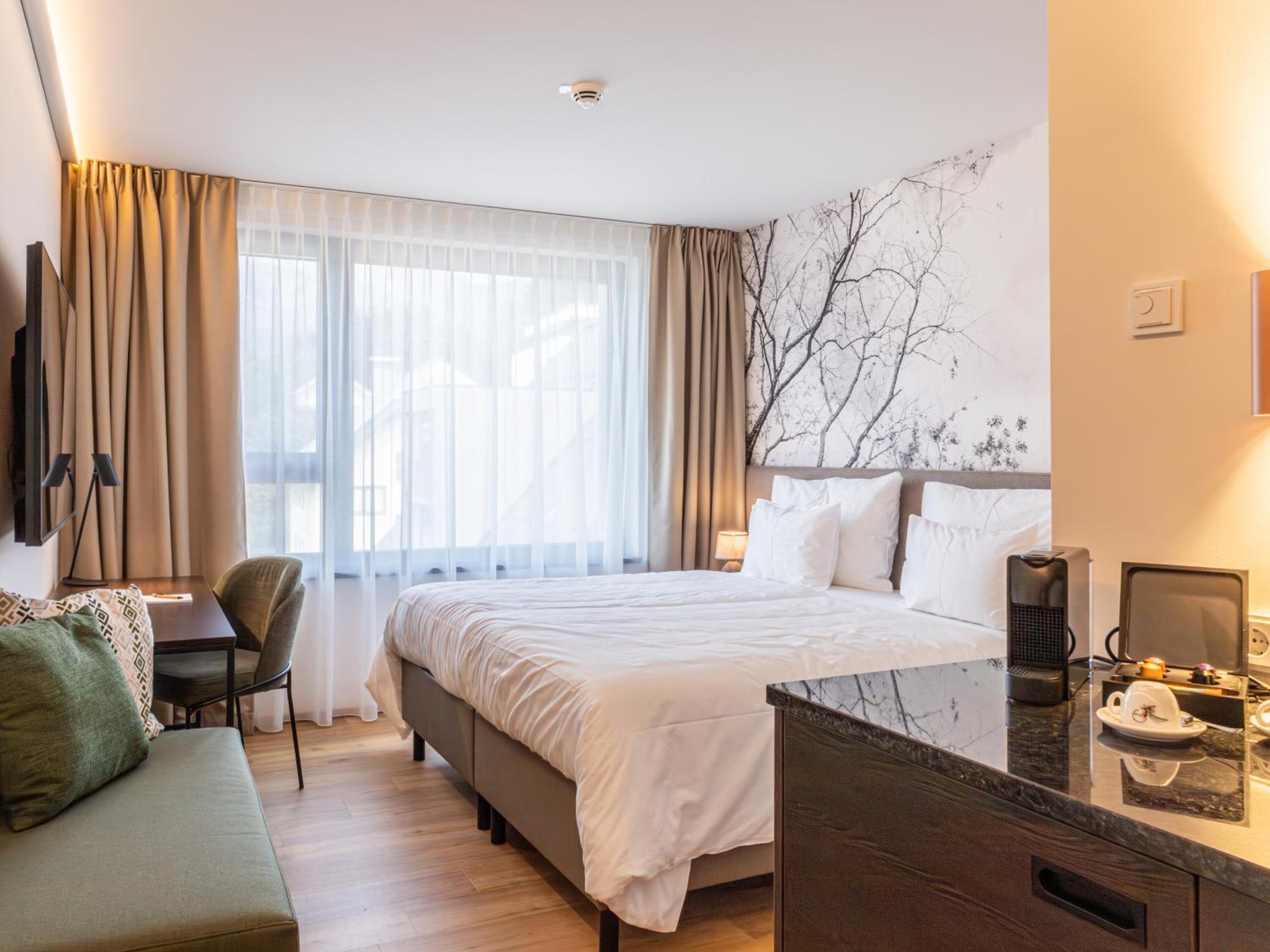 Double Room with Mountain View photo 2