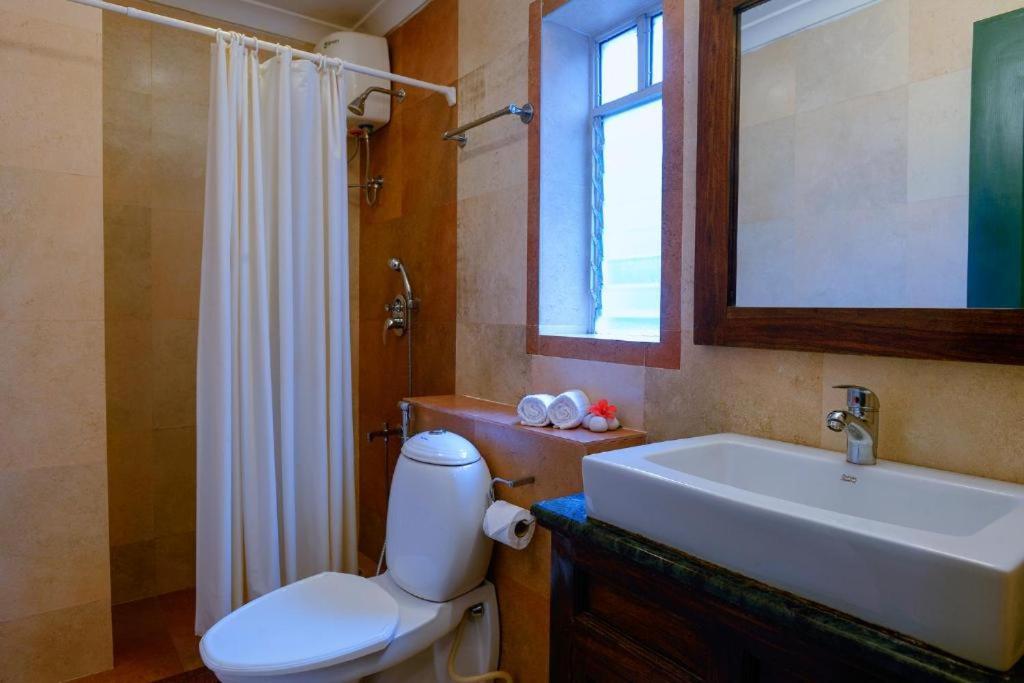 Studio Apartment (Entire Apartment) - Photo 2