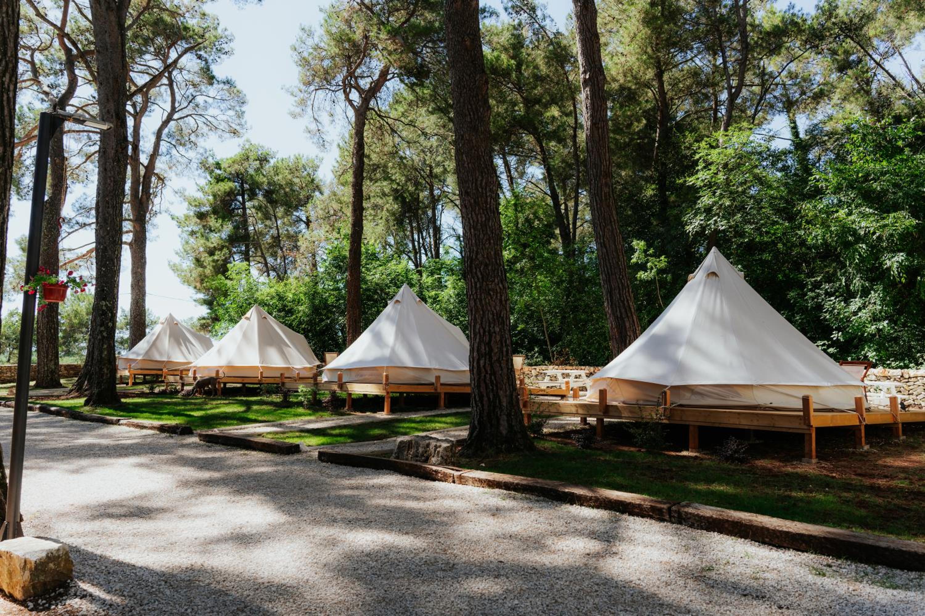 Tent - Photo 6