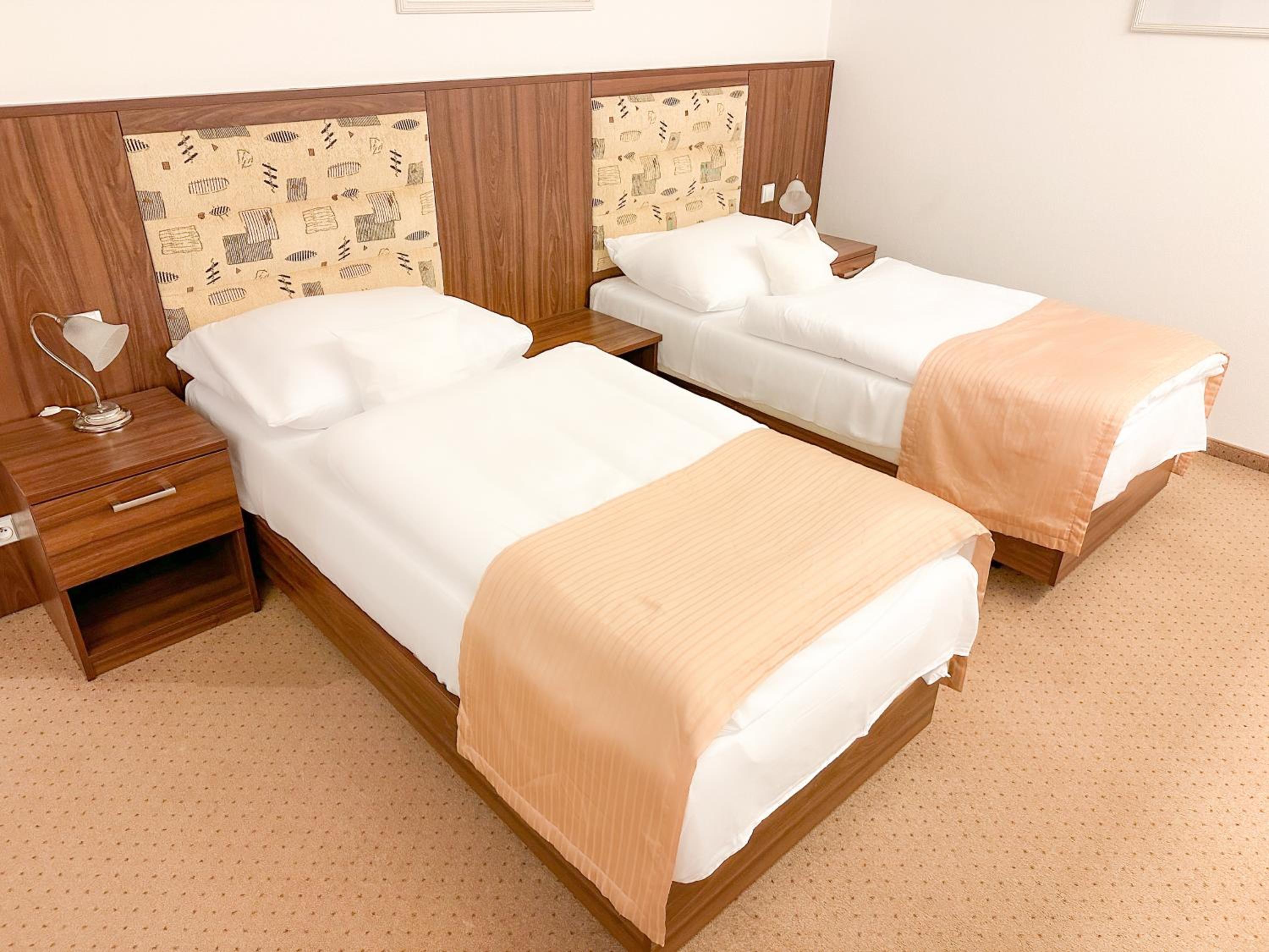 Superior Double or Twin Room photo 2