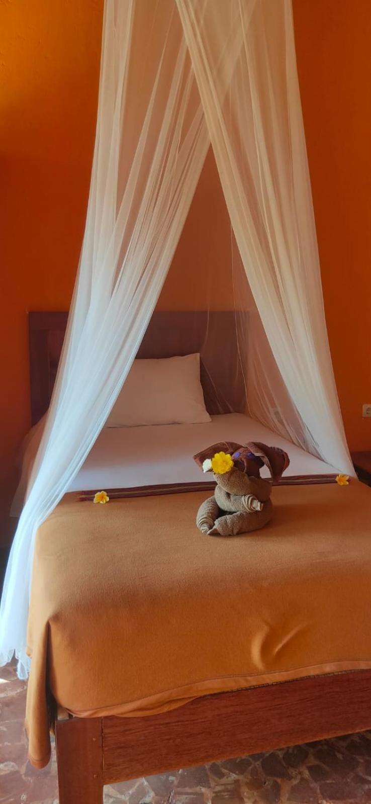 Twin Room with Private Bathroom - Photo 2