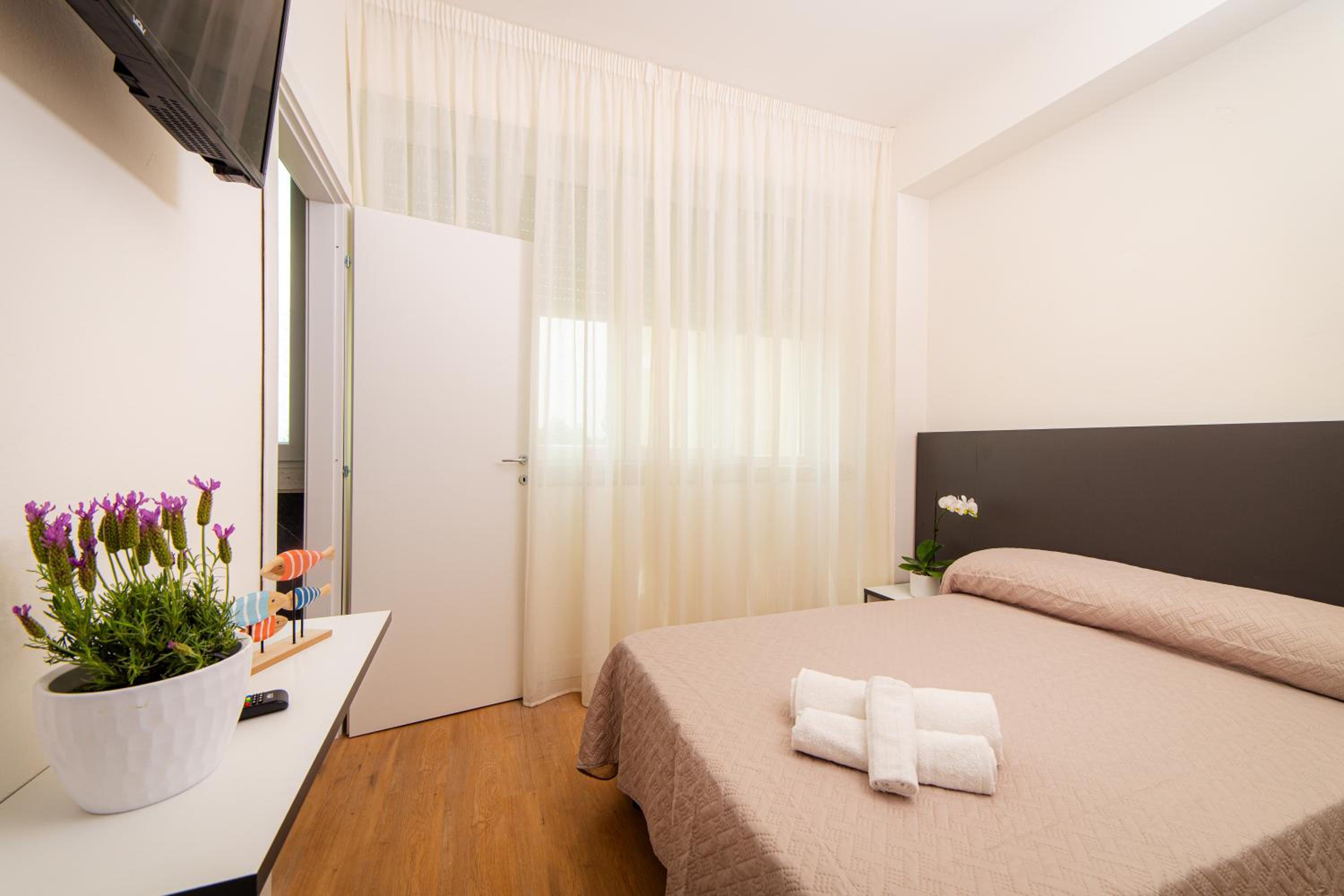 Single Room photo 1