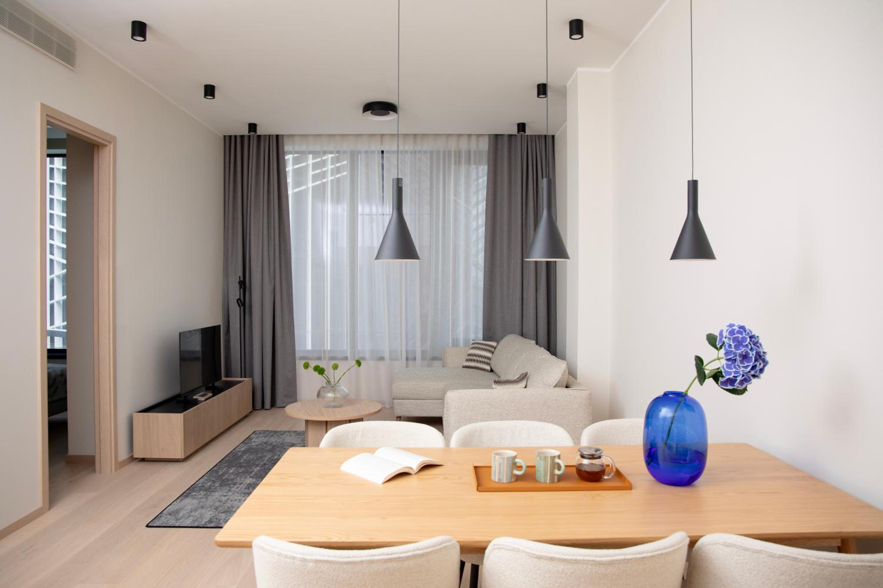 Spacious Apartment with Kitchen - 1 Bedroom