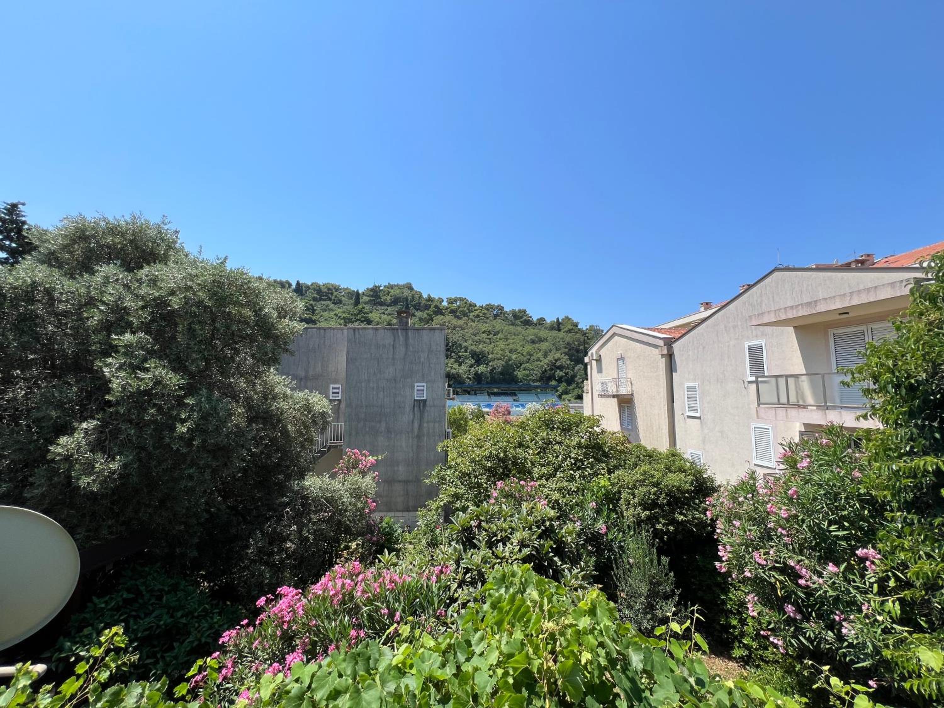 Studio with Garden View photo 3