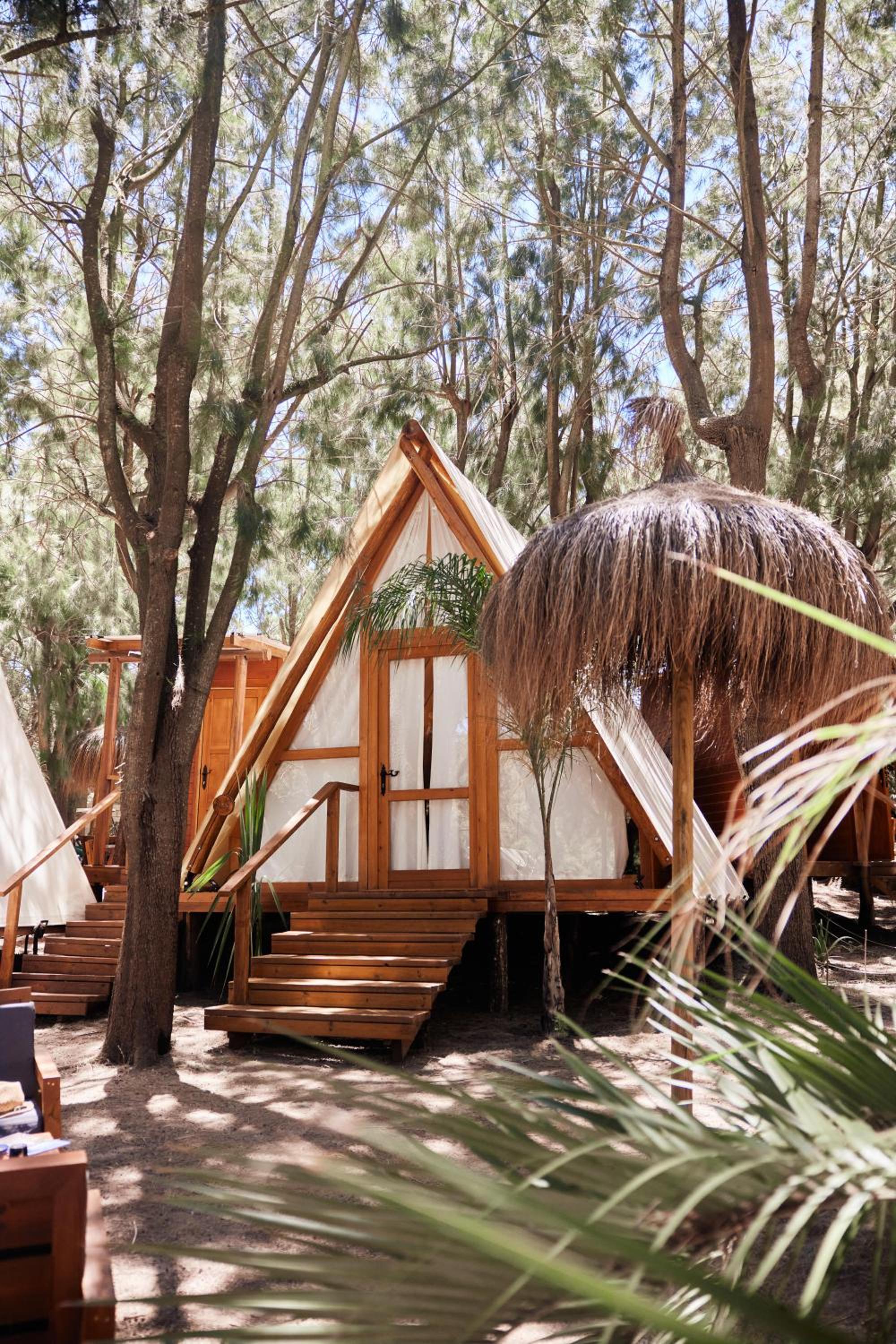 Glamping Algaida with private bathroom (4 people) photo 2
