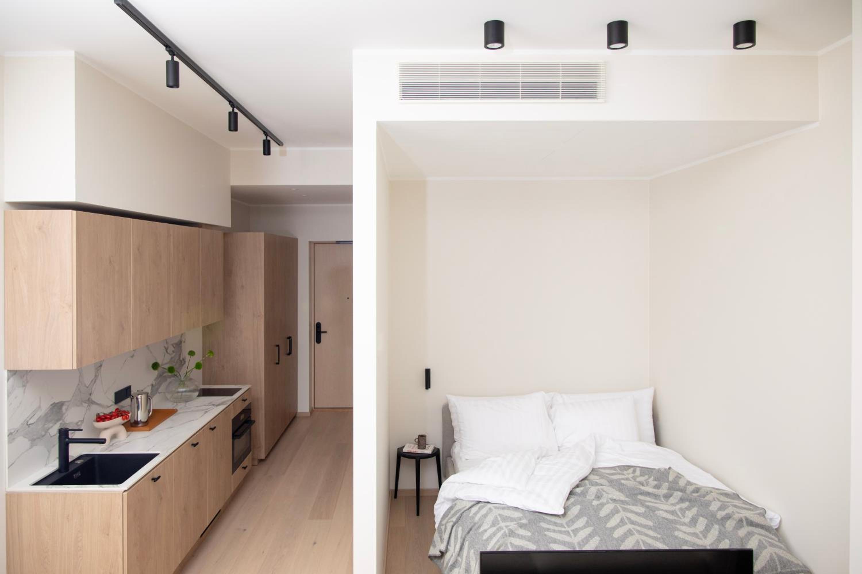 Spacious Studio with Kitchen