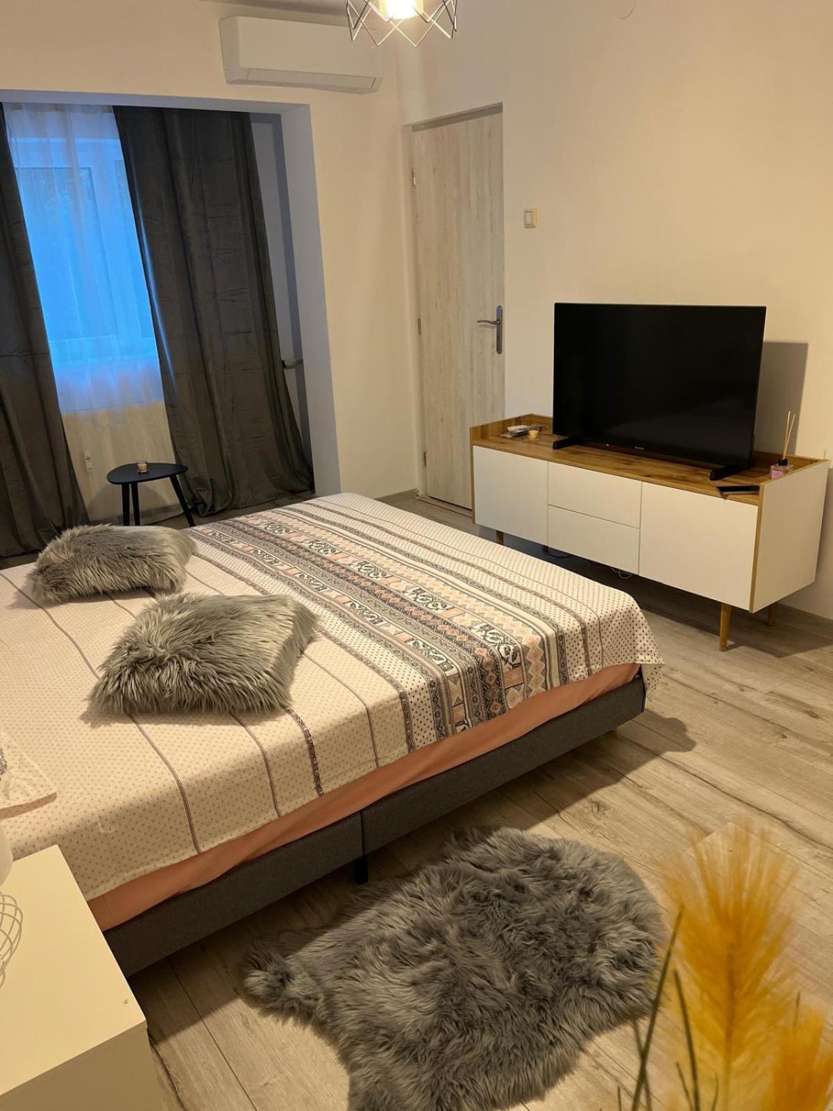One-Bedroom Apartment photo 2