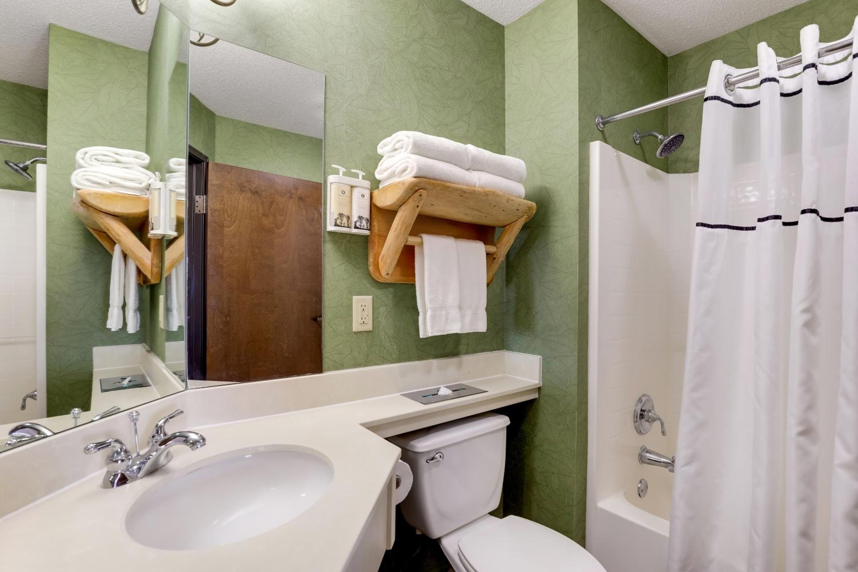 Deluxe King Room - Photo 4