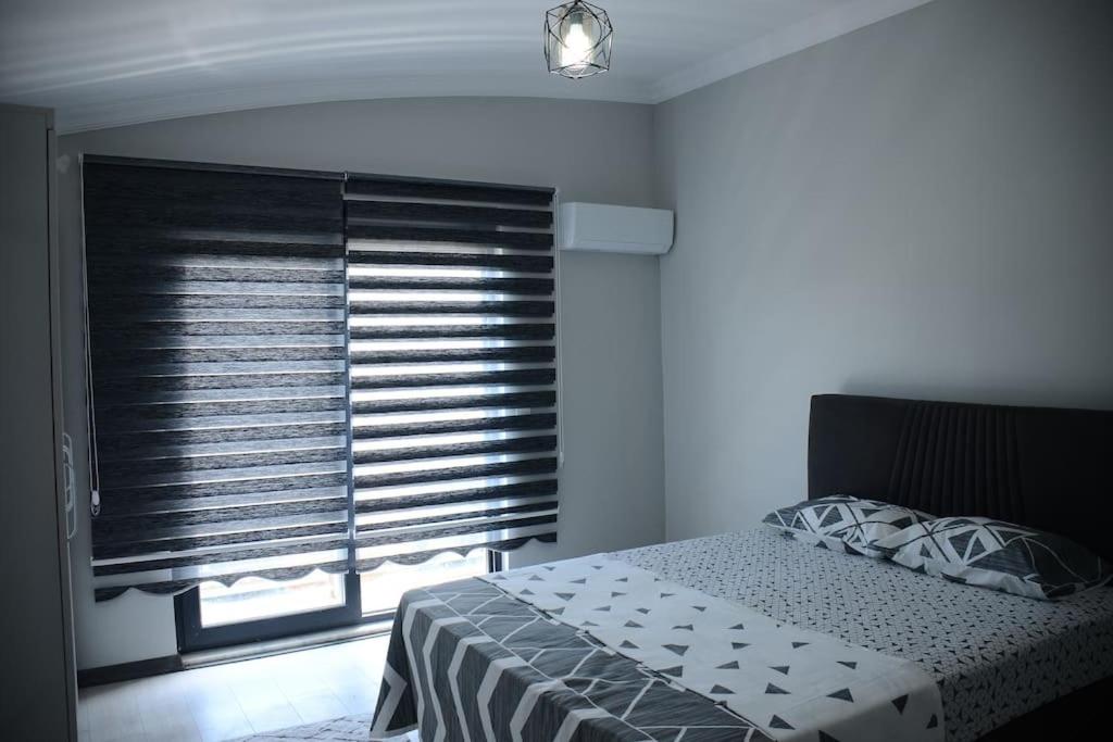 Villa photo 1
