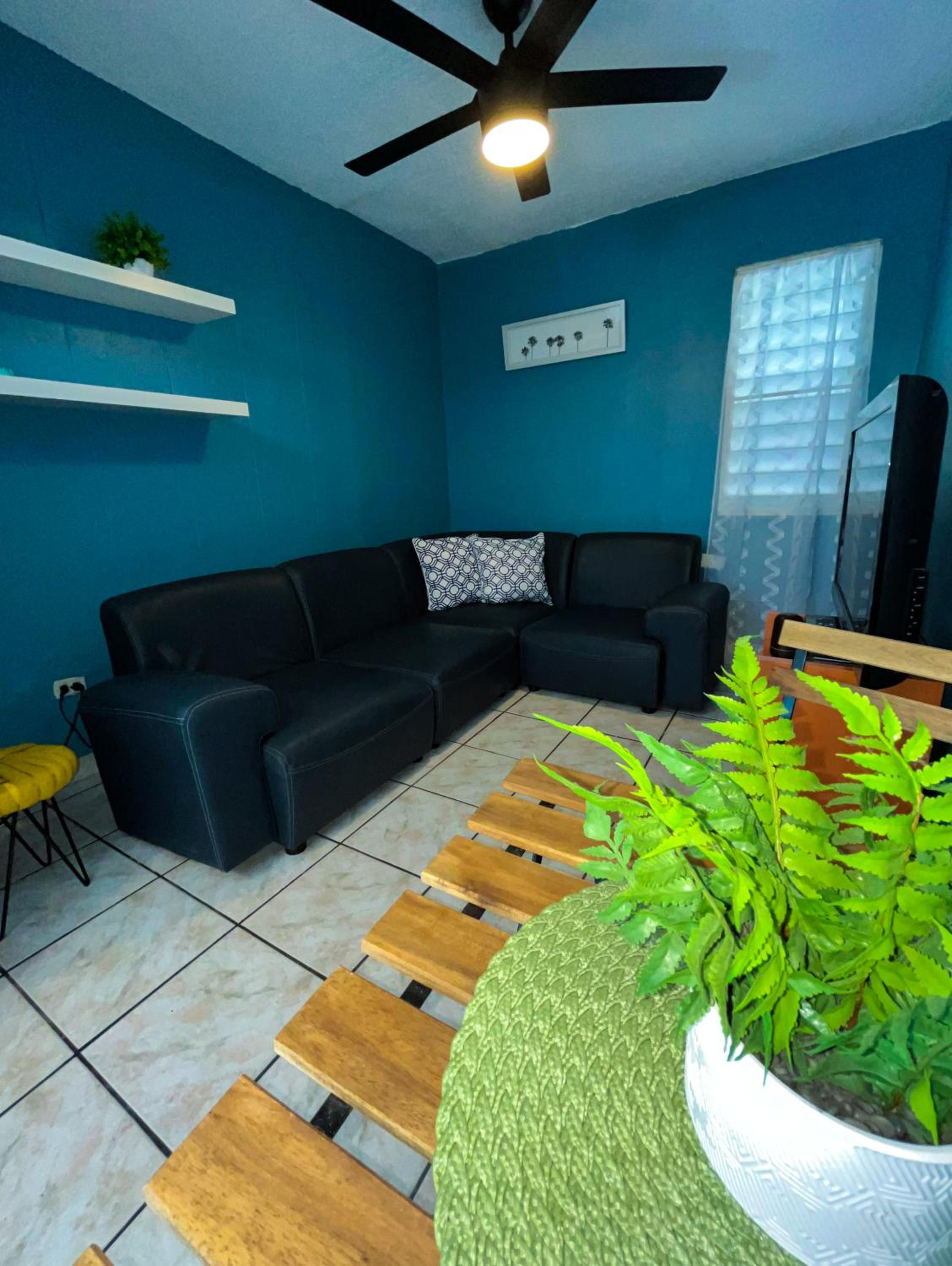 One-Bedroom Apartment photo 2