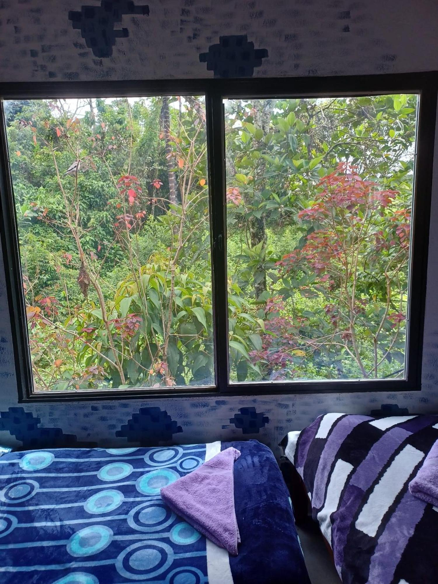 Bed in 4-Bed Mixed Dormitory Room photo 3