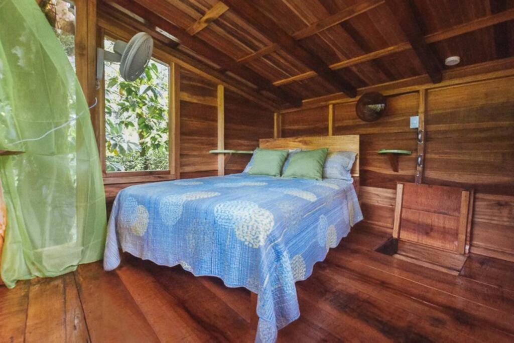 One-Bedroom House photo 1