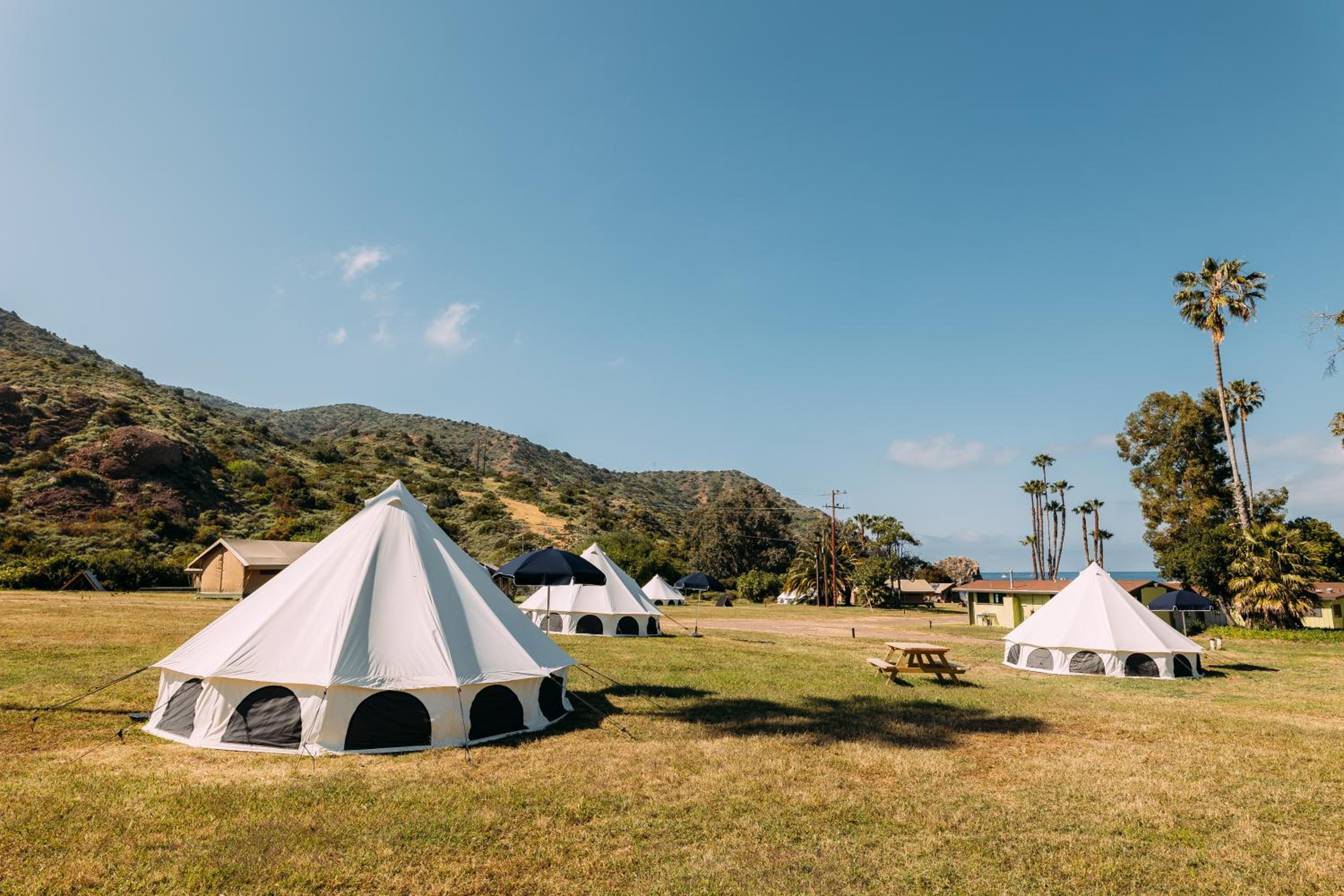 Bell Tent photo 3