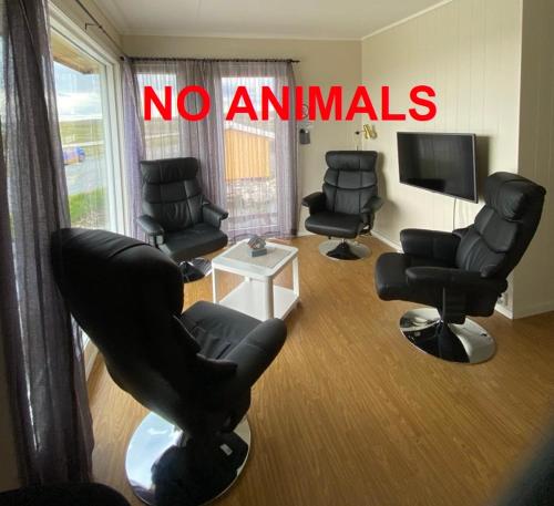 Penthouse Apartment photo 2