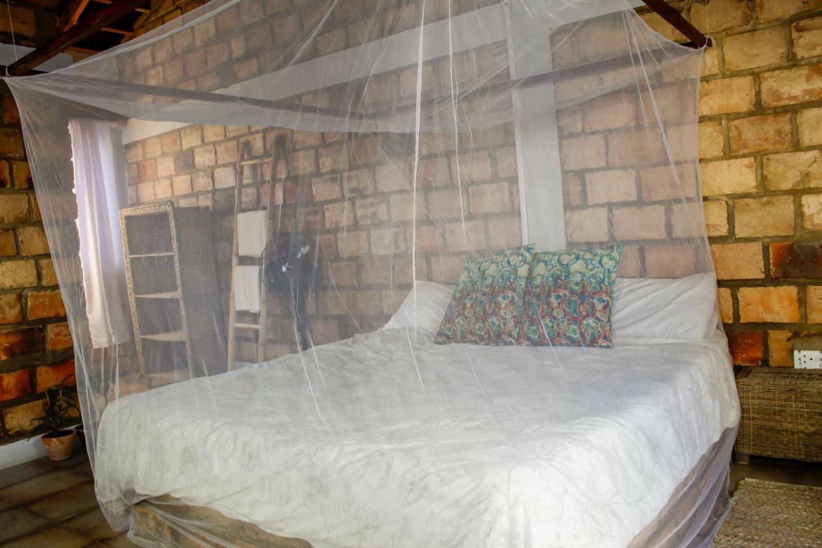 King Room photo 1