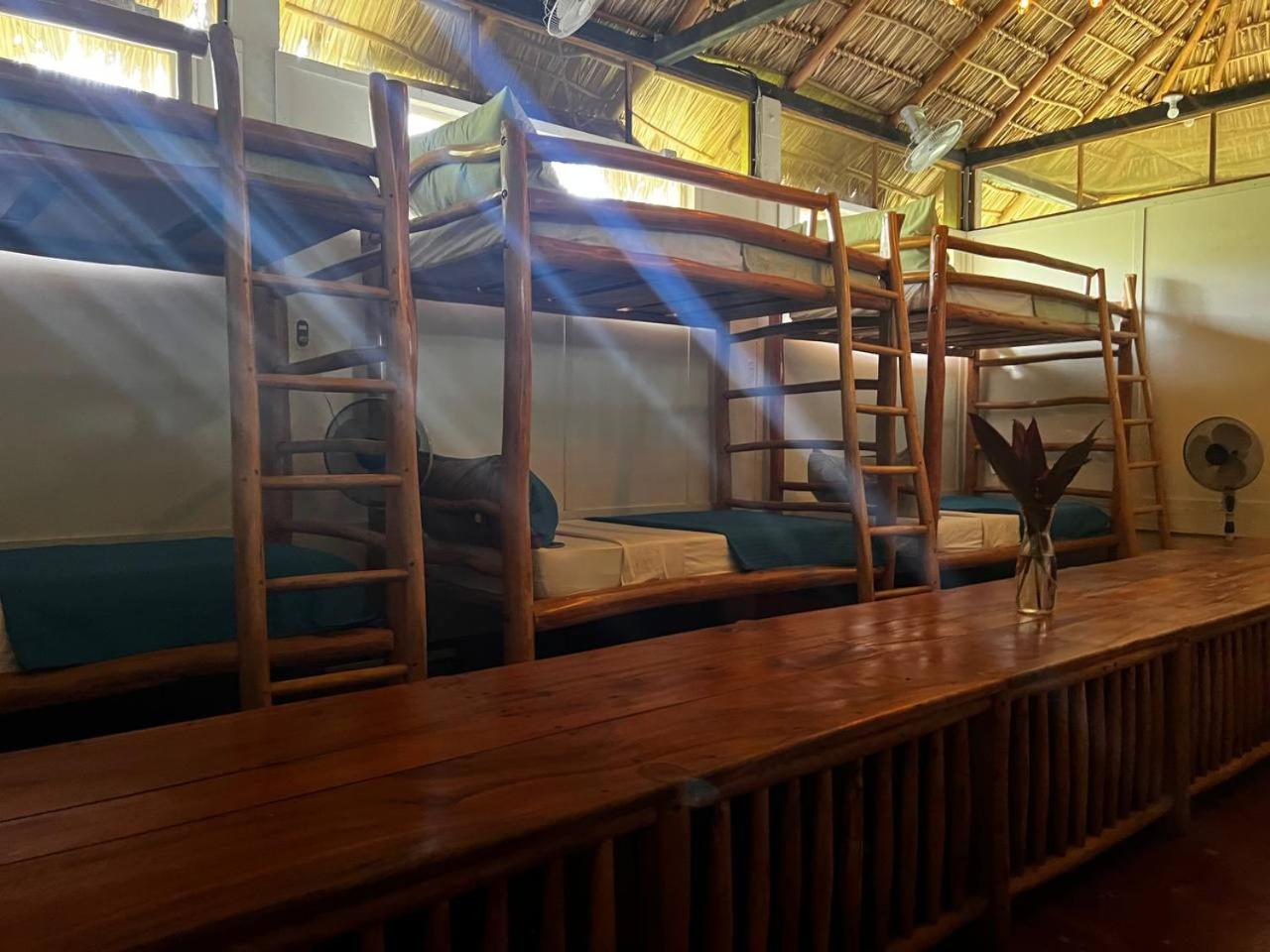 Bunk Bed In Mixed Dormitory Room photo 2