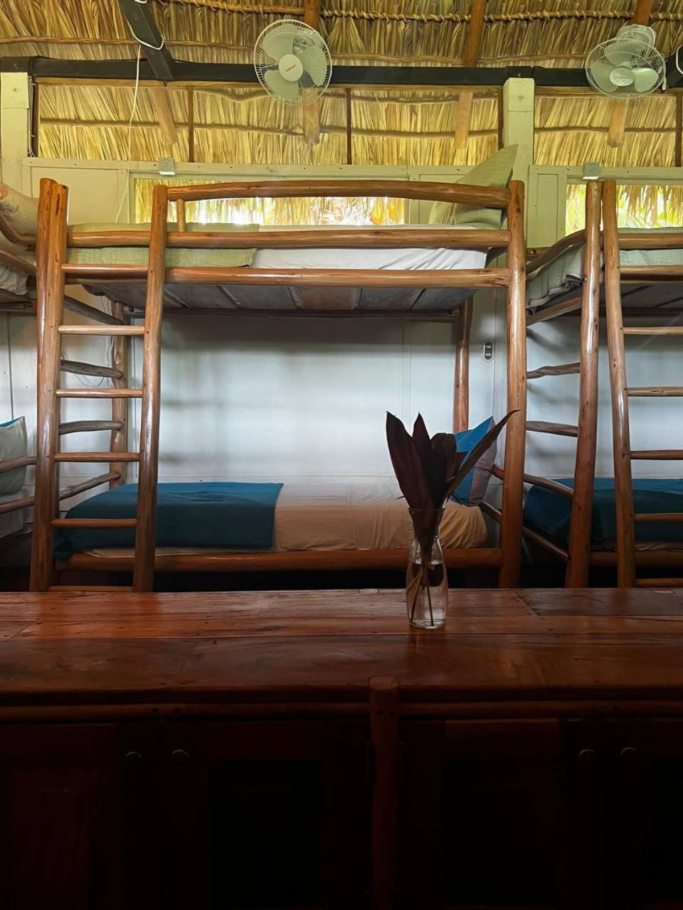 Bunk Bed In Mixed Dormitory Room photo 1
