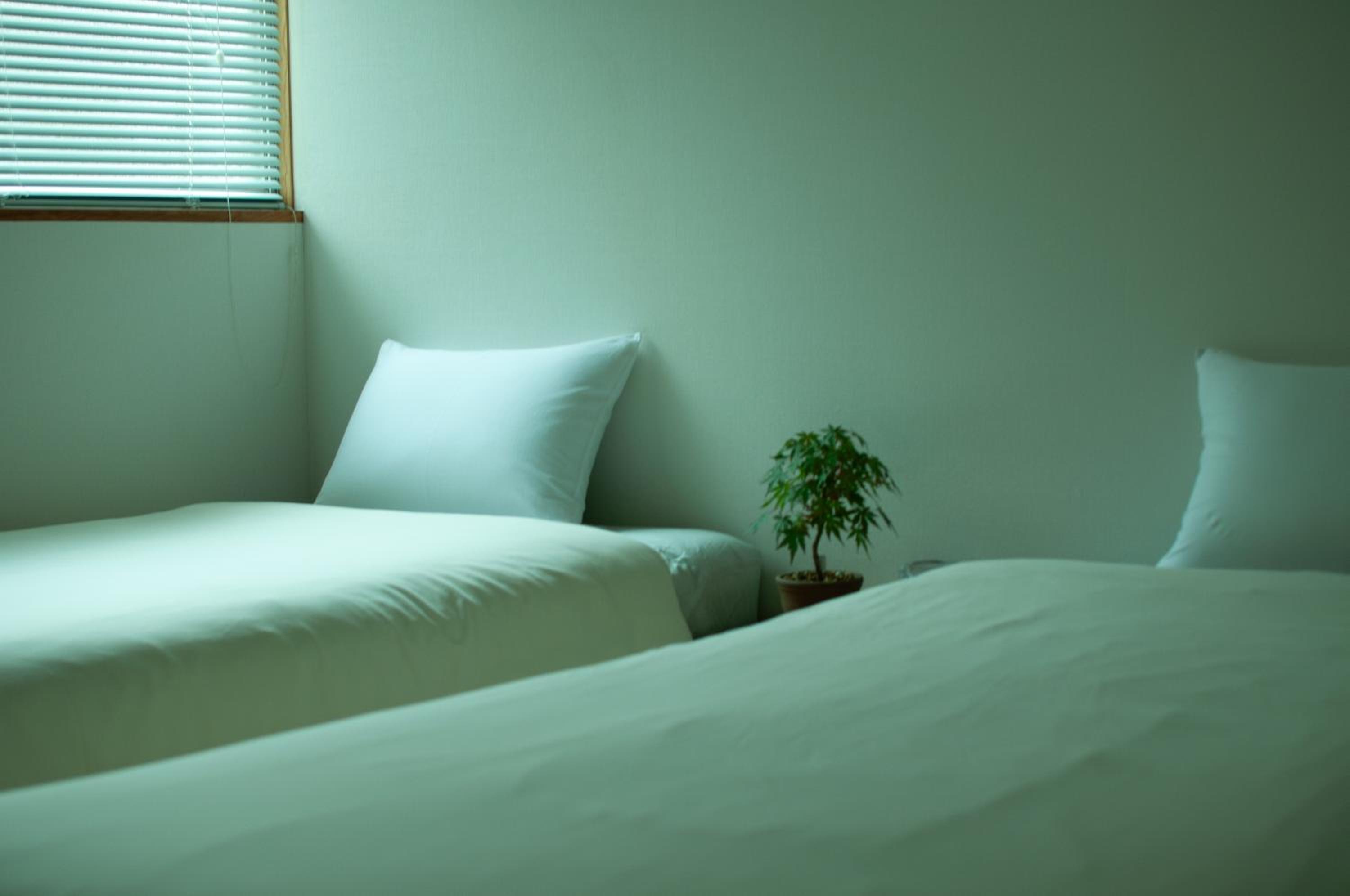 Standard Twin Room photo 1