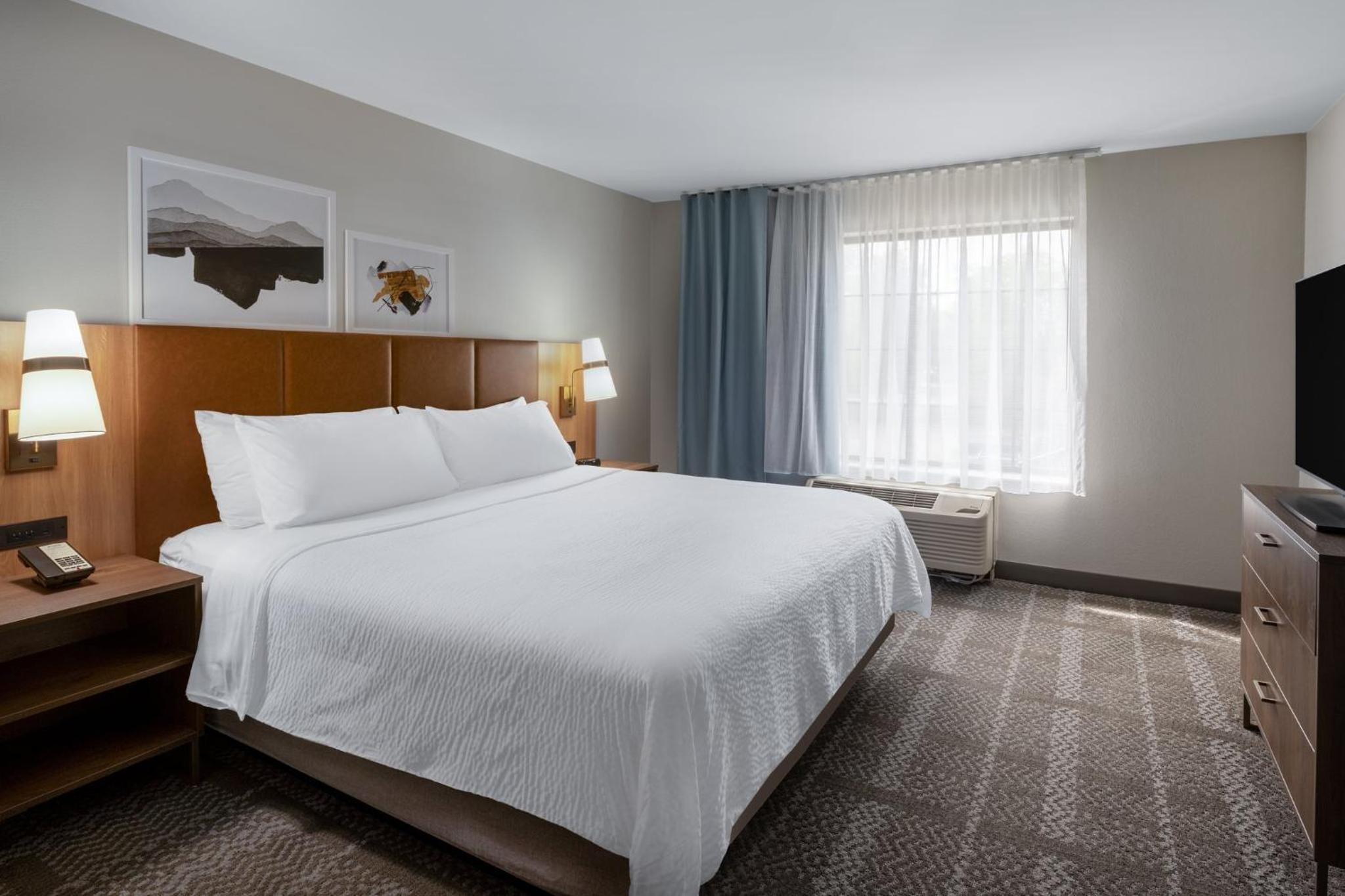 One-Bedroom Suite with Sofa Bed - Photo 3