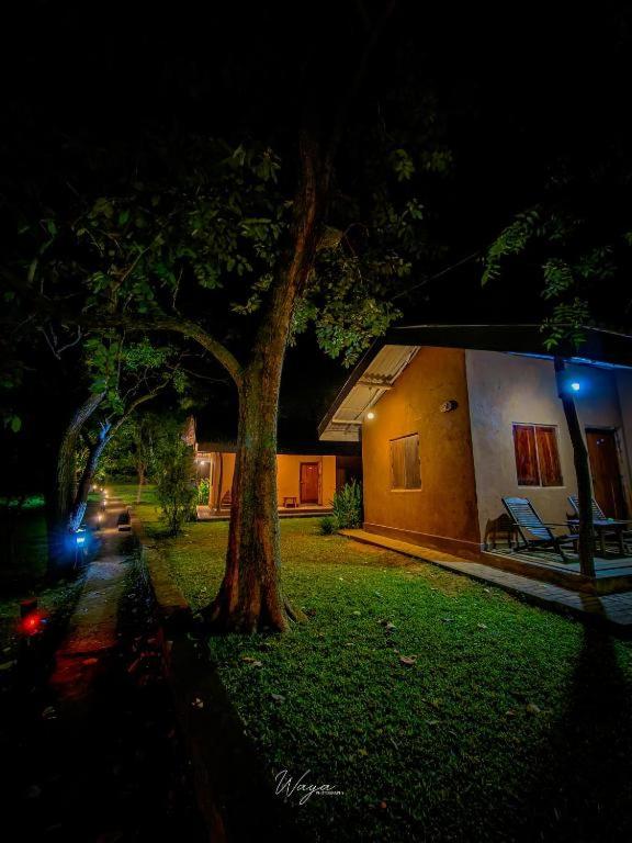 Double Room With Terrace photo 3
