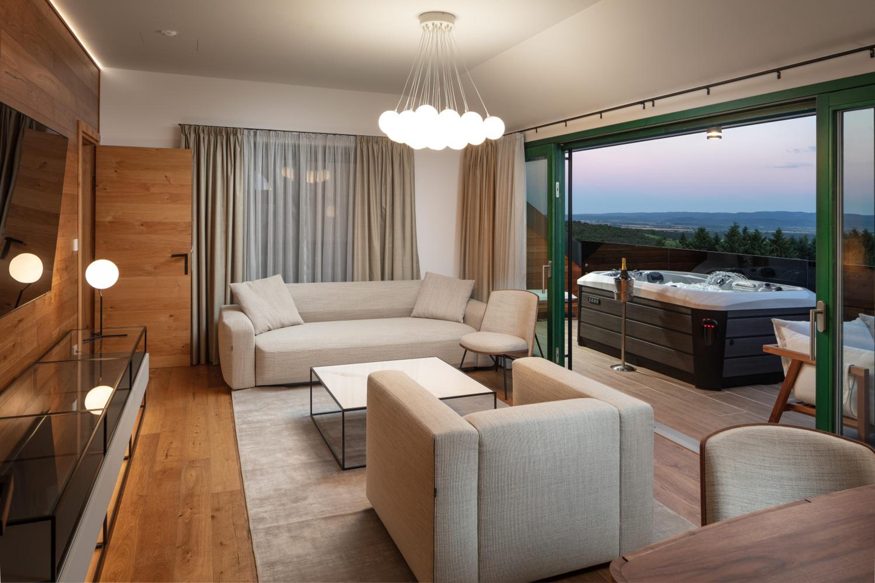 Deluxe One-Bedroom Apartment with City View