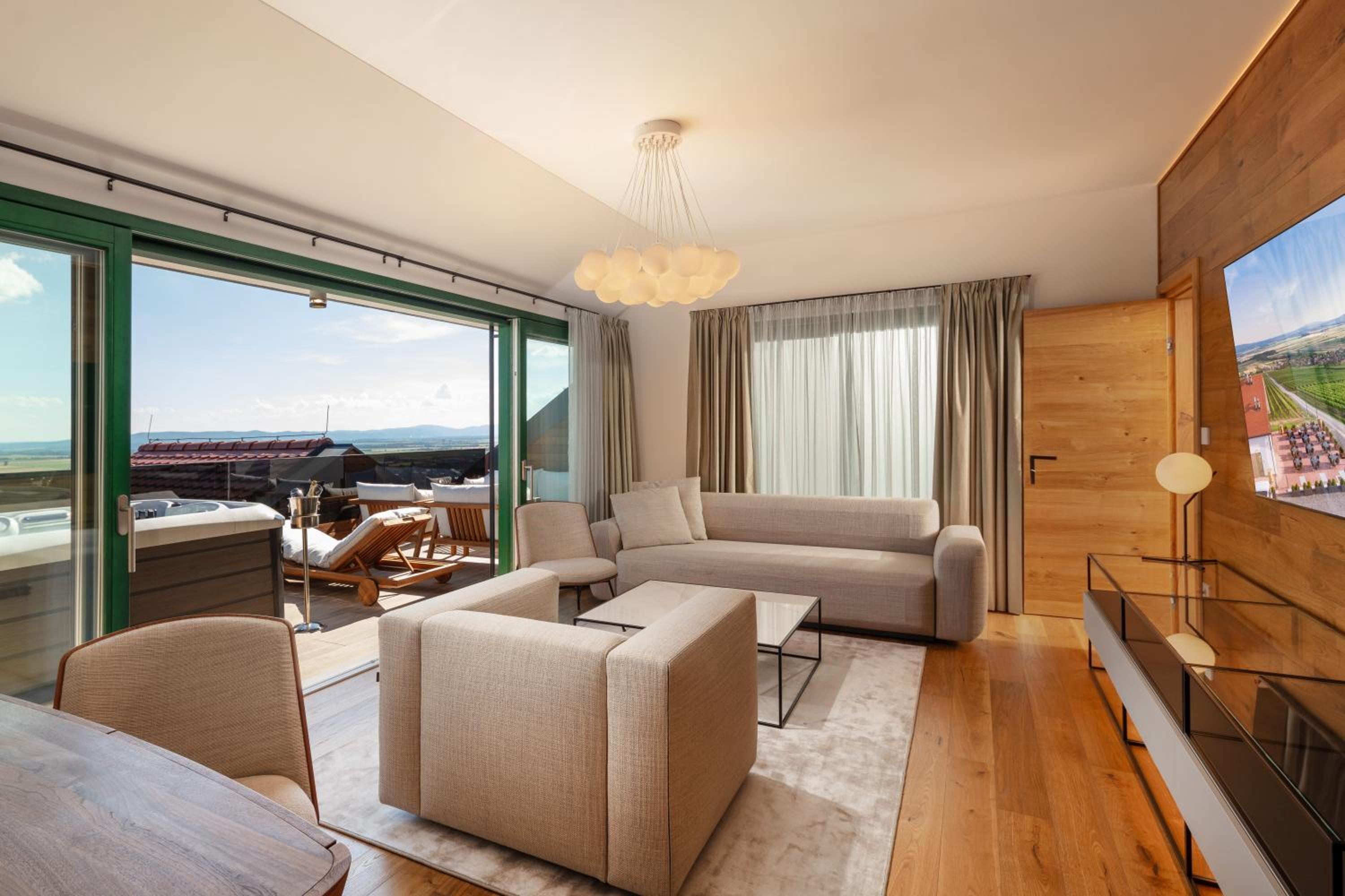 Deluxe One-Bedroom Apartment with City View