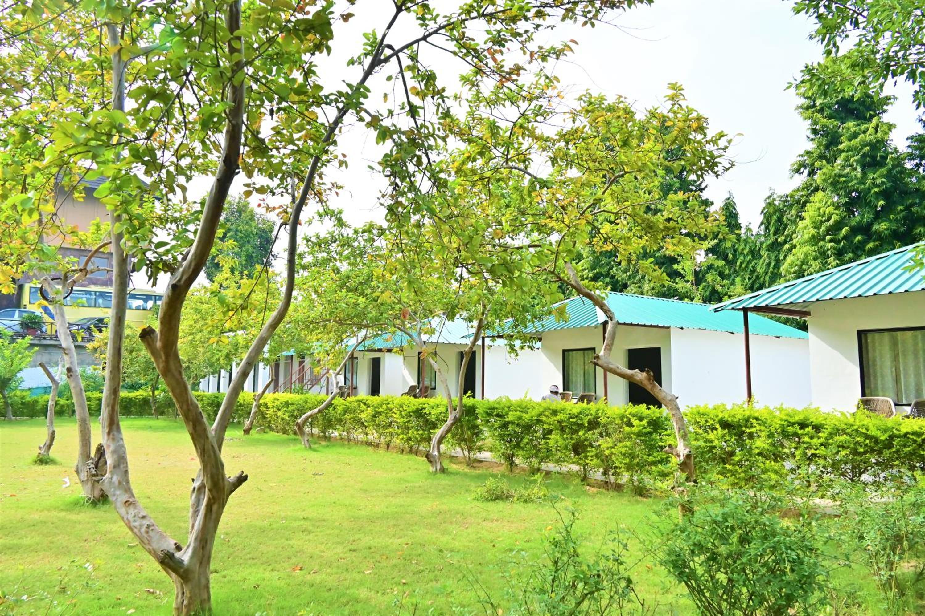 Double Room - Photo 9