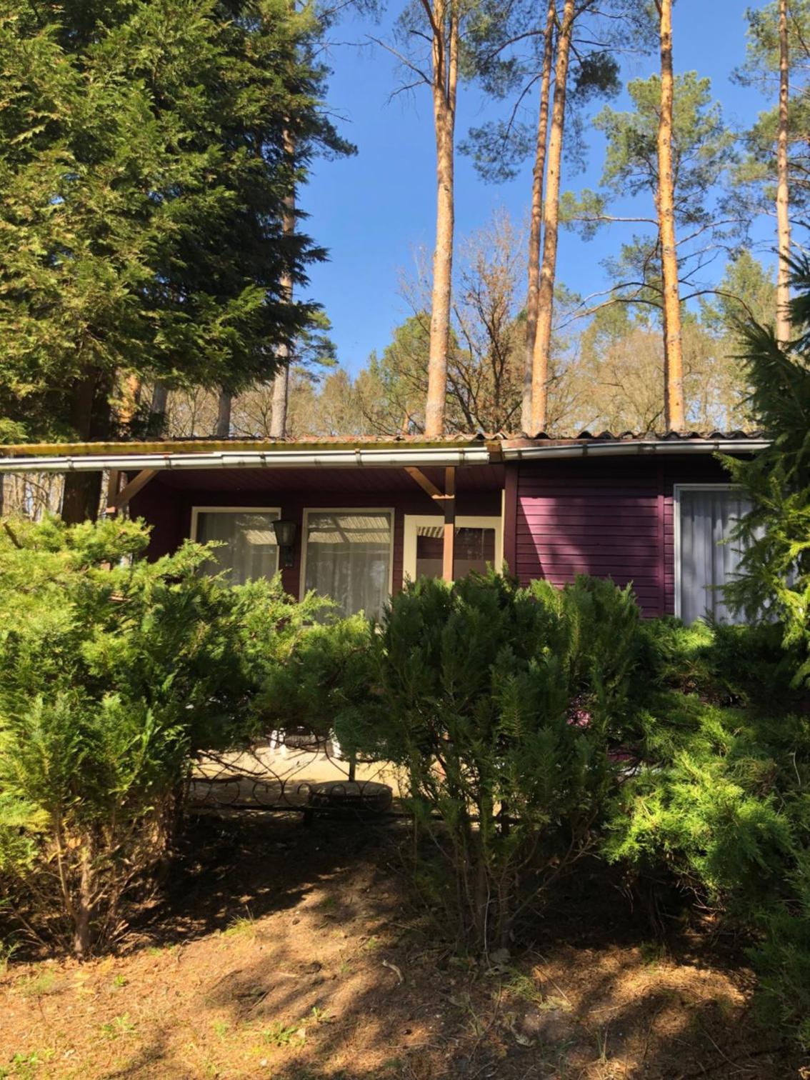 Deluxe Bungalow with Garden View photo 3