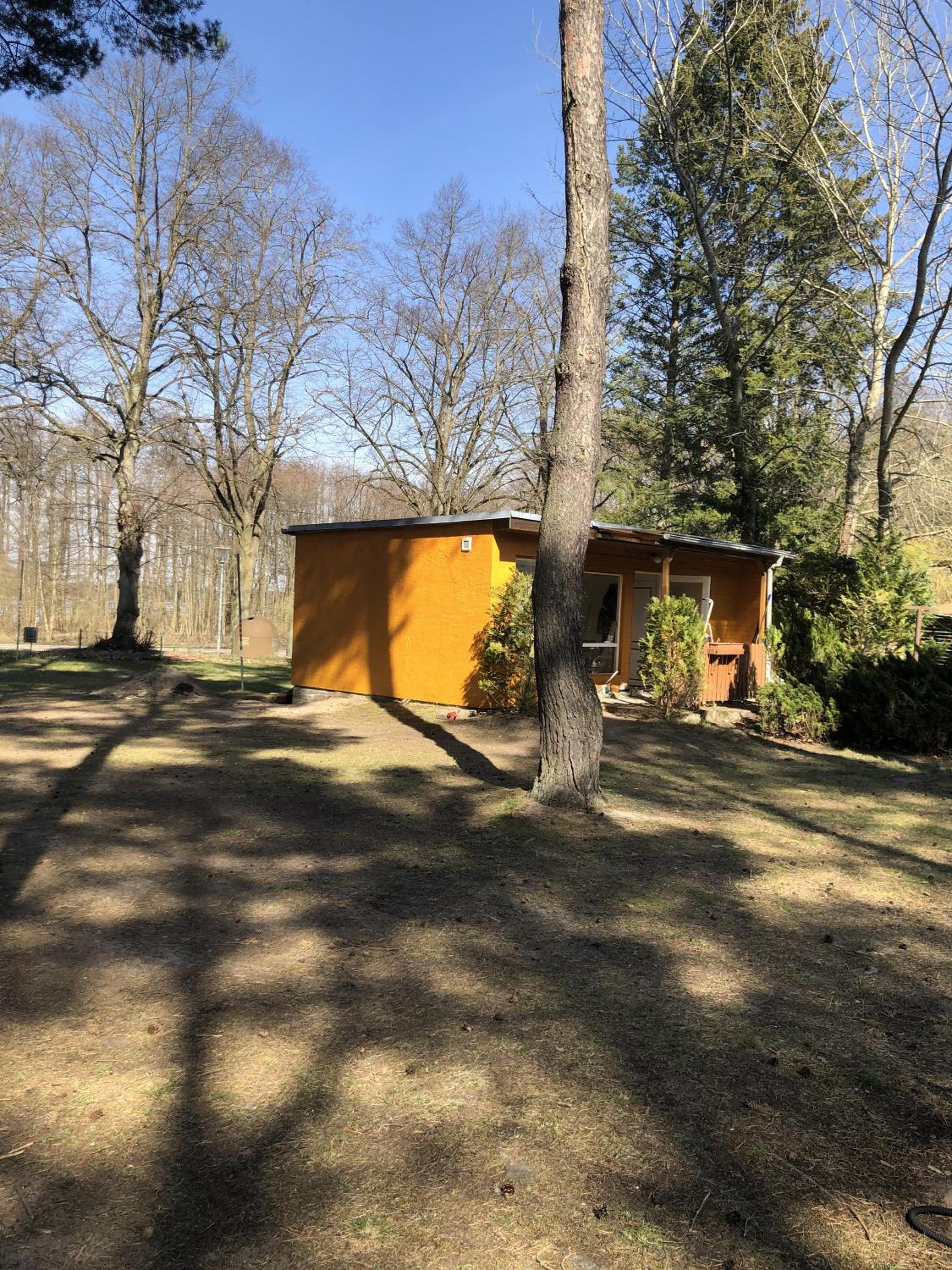 Deluxe Bungalow with Garden View photo 3