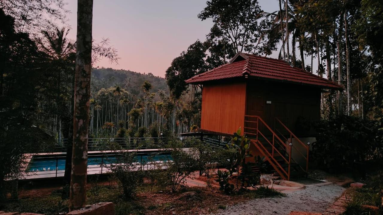 King Room With Pool View photo 3