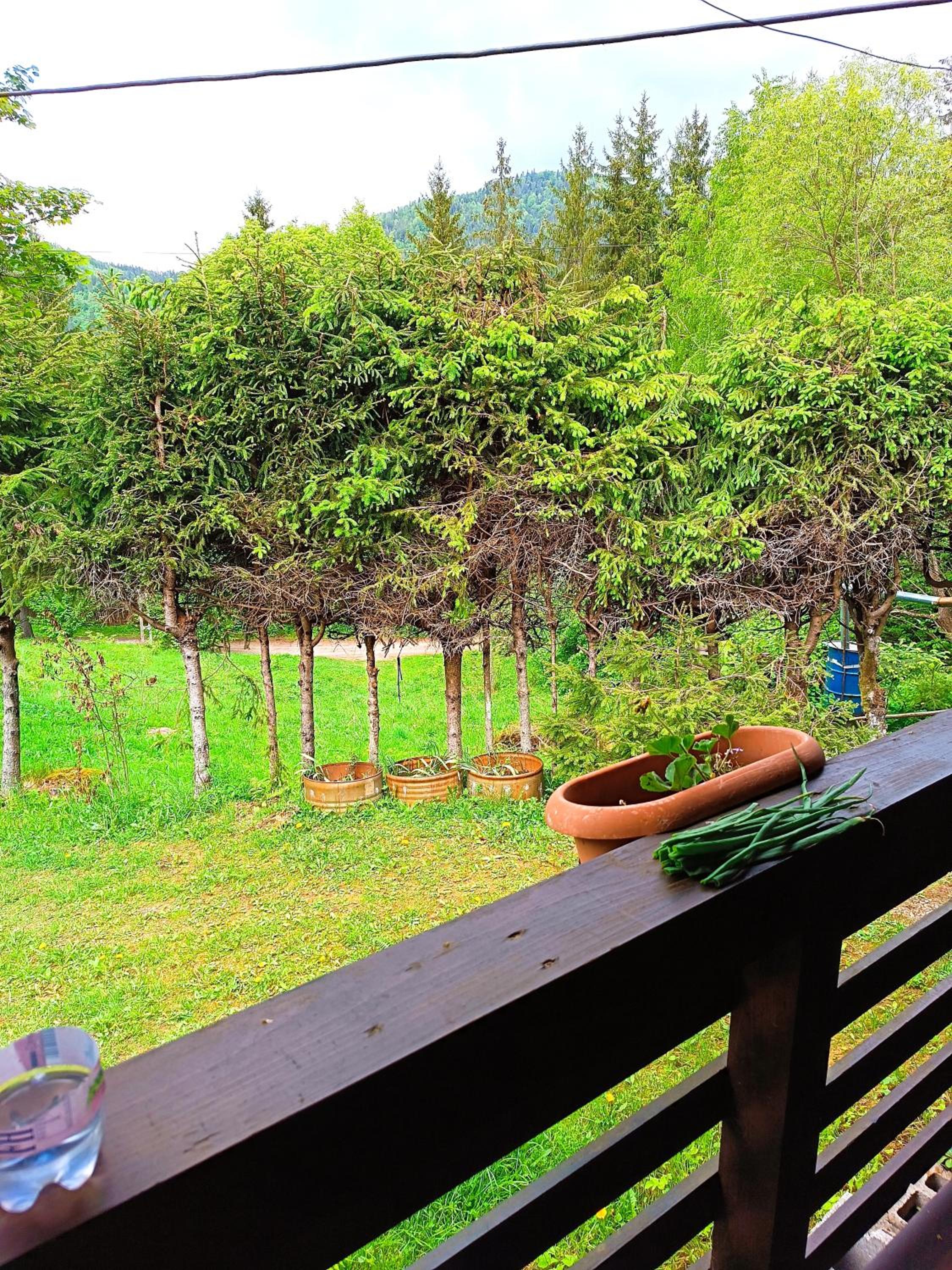 Two-Bedroom Chalet photo 3