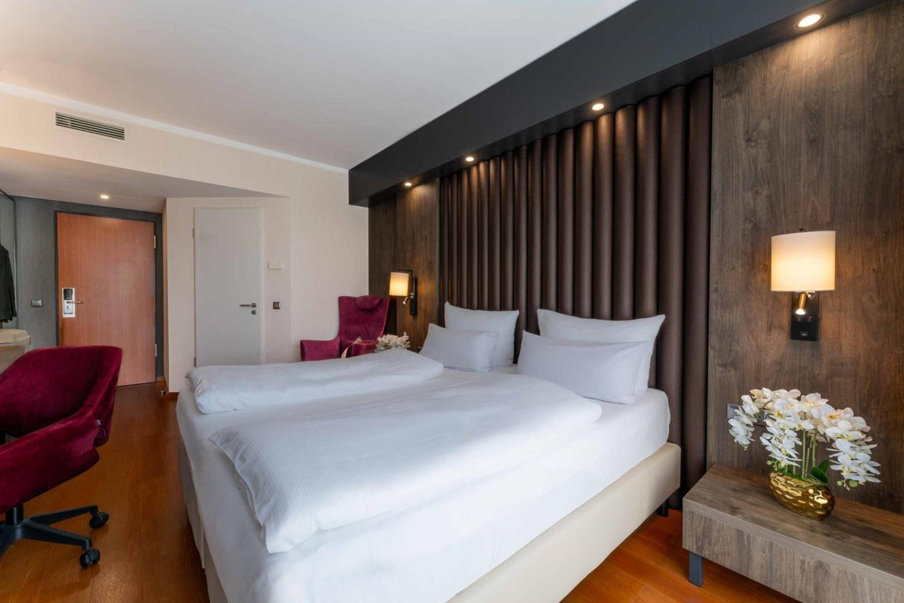 Suite - Photo 1