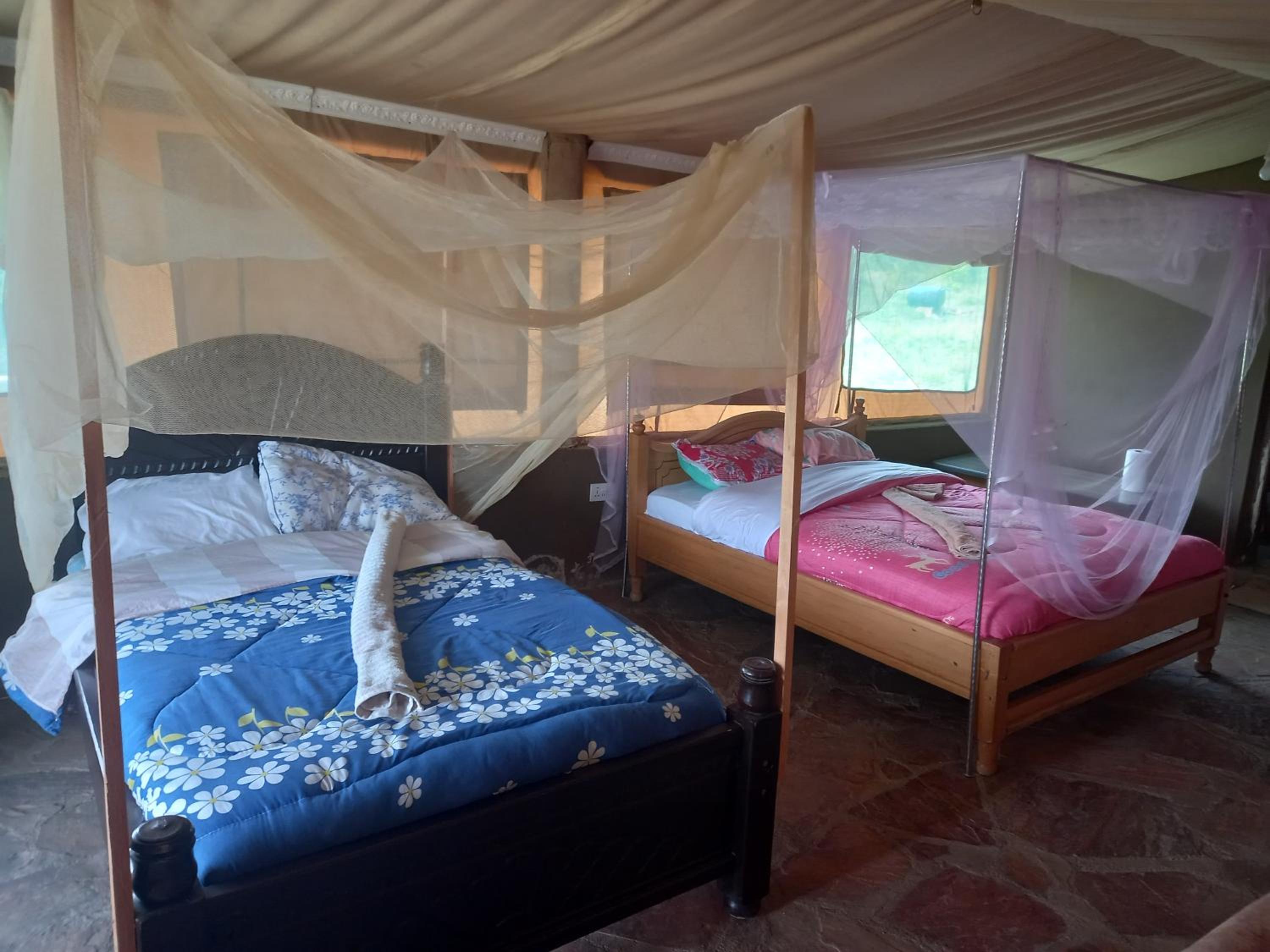 Double or Twin Room photo 1