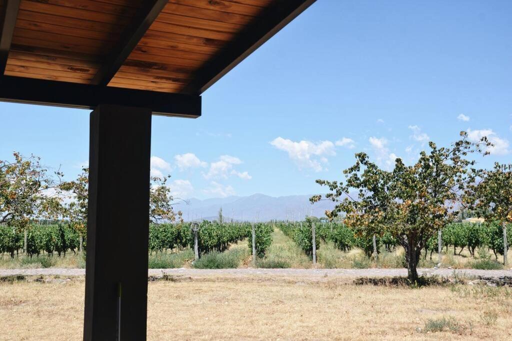 Three-Bedroom Chalet photo 2