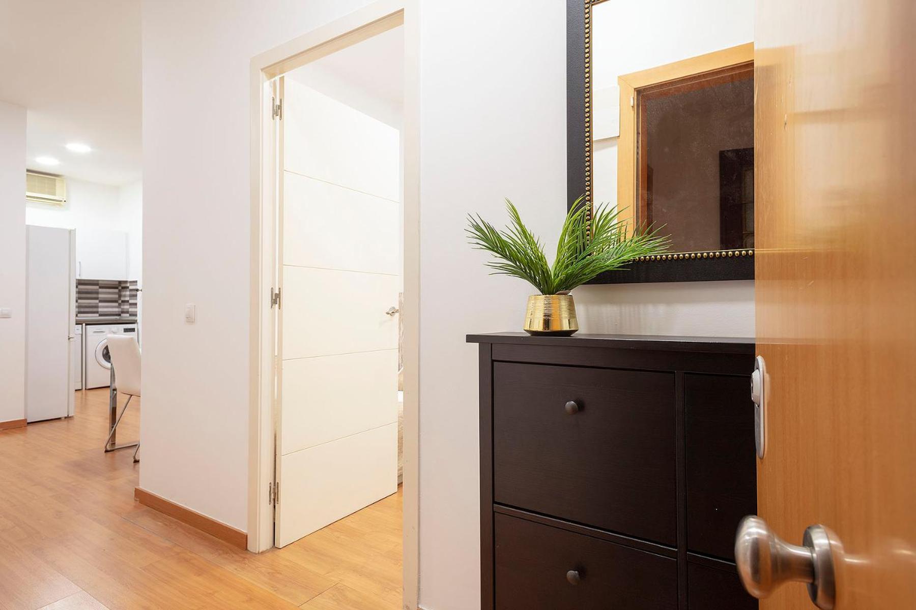 Apartment with Terrace photo 2