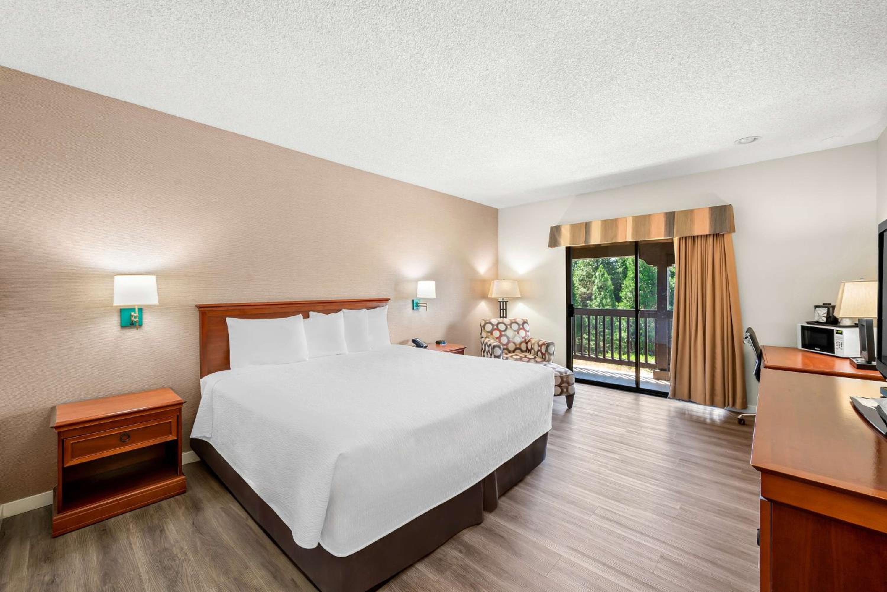 One-Bedroom King Suite with Sofa Bed photo 2