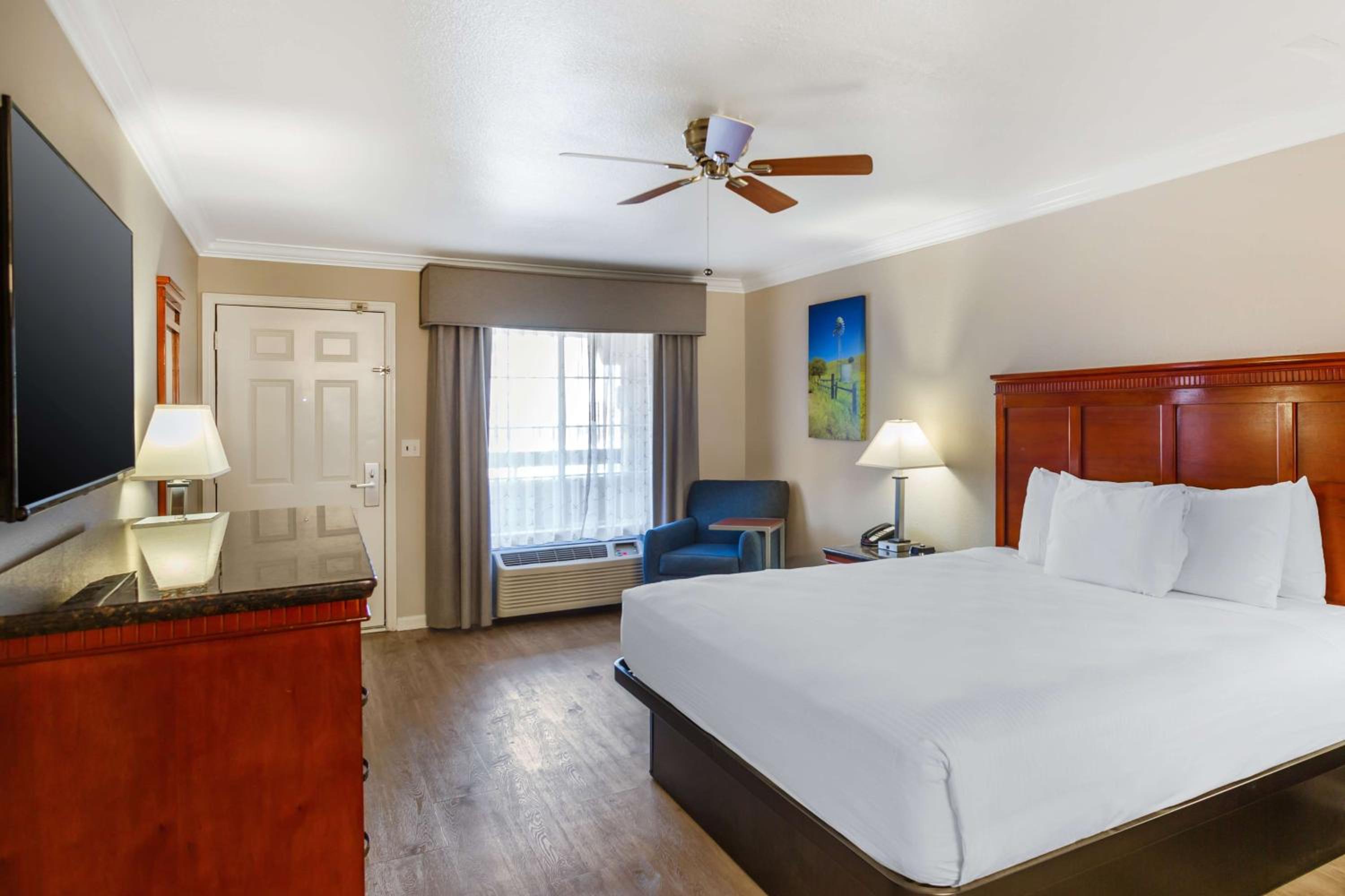 King Room - Pet Friendly photo 3