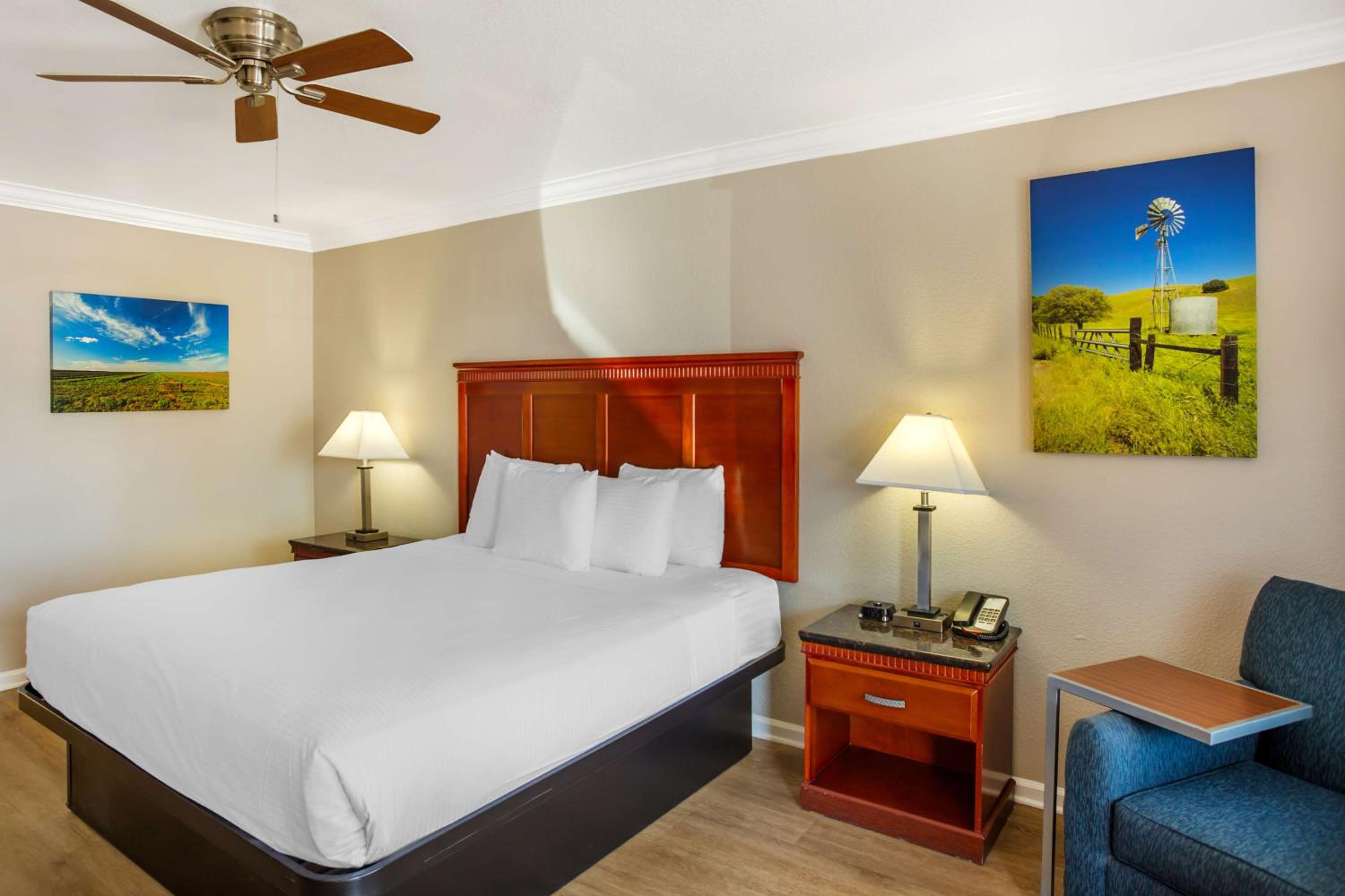 King Room - Pet Friendly/Non-Smoking photo 1