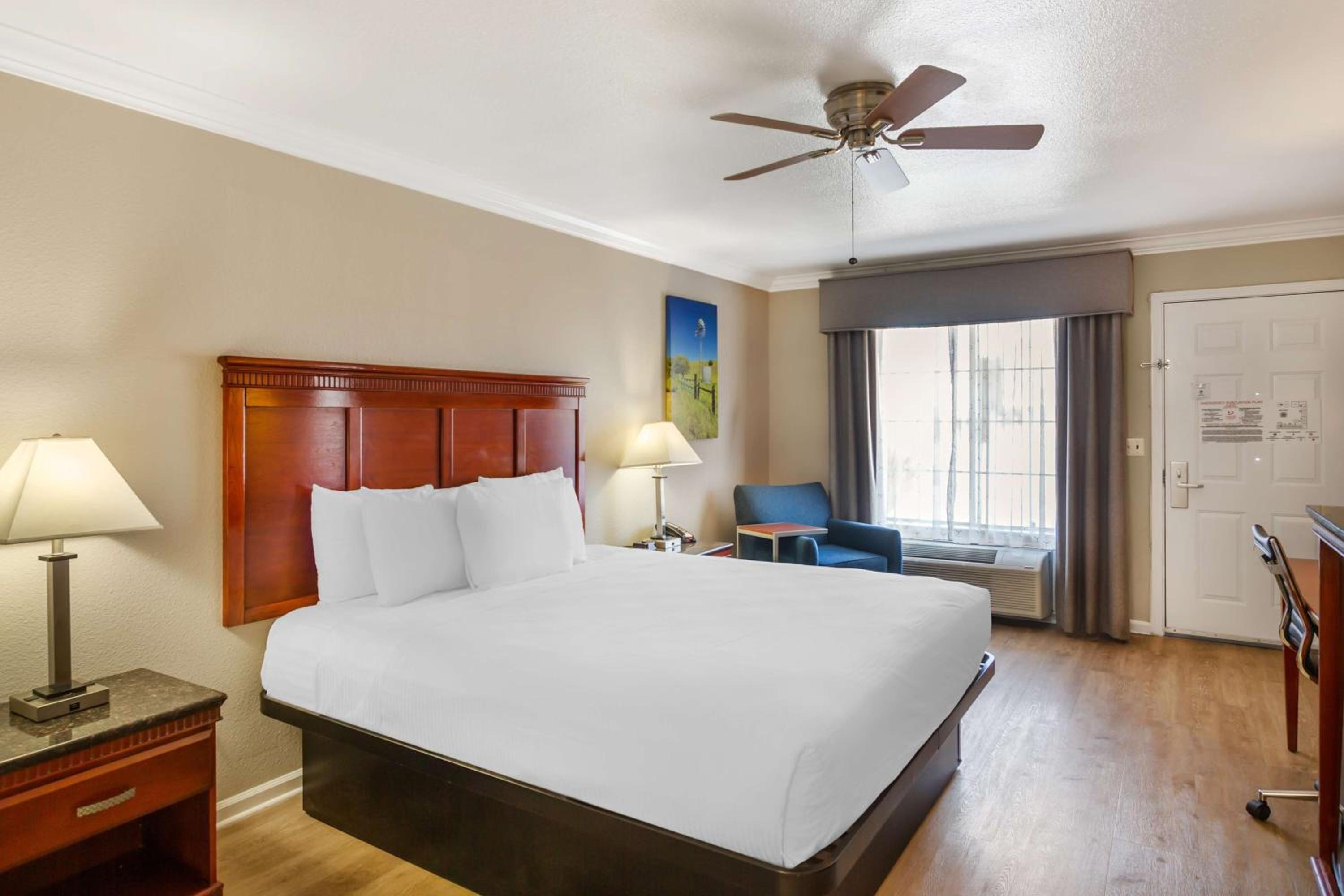 King Room - Pet Friendly/Non-Smoking photo 3