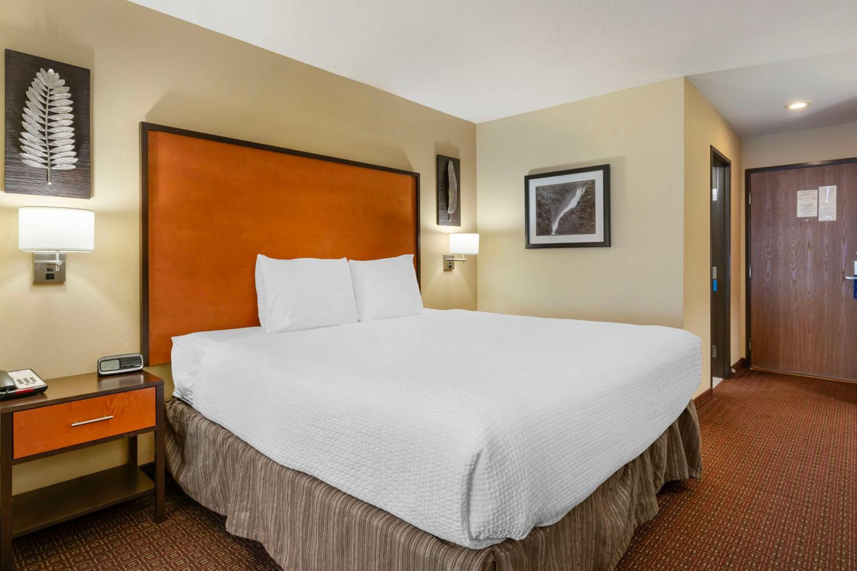 King Room with Roll-in Shower - Disability Access/Non-Smoking - Photo 4
