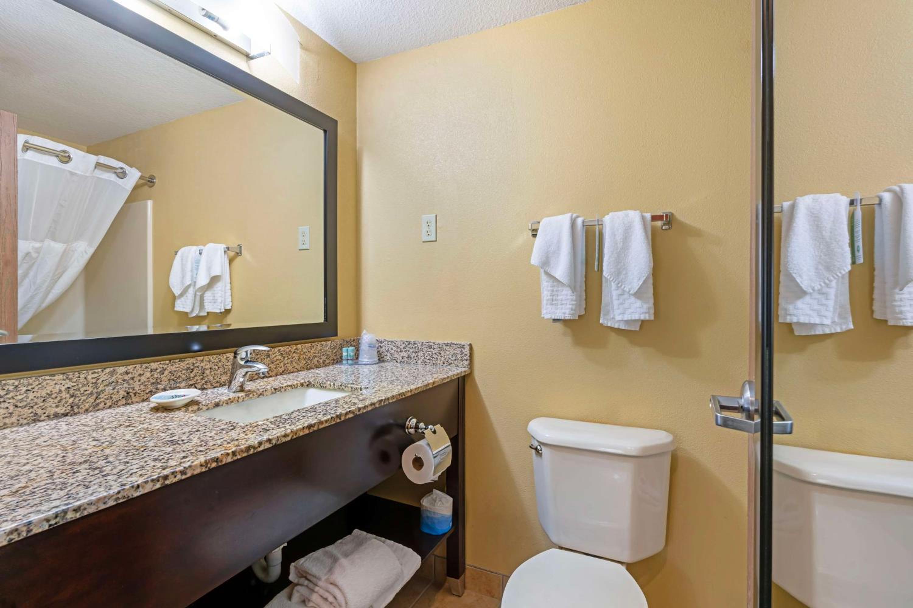 King Room with Roll-in Shower - Disability Access/Non-Smoking - Photo 2