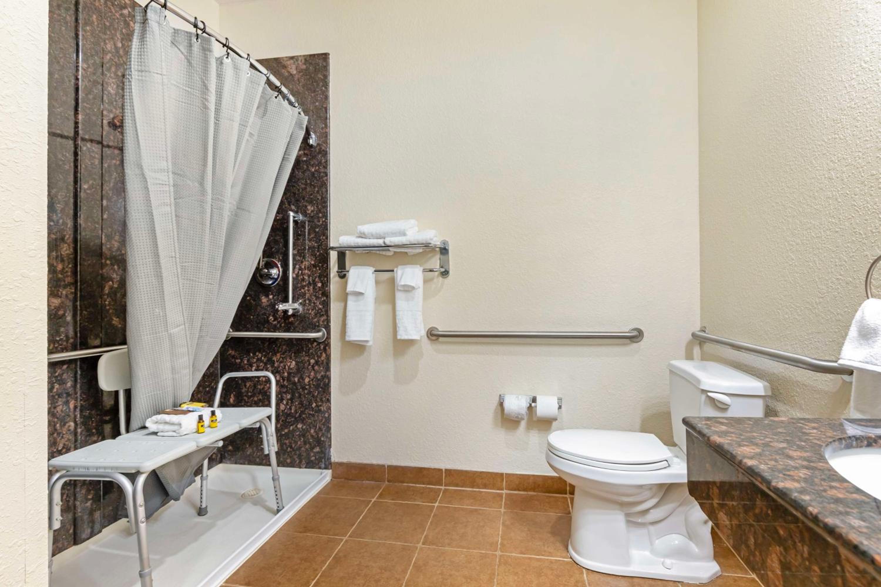 King Room with Roll-In Shower - Disability Access