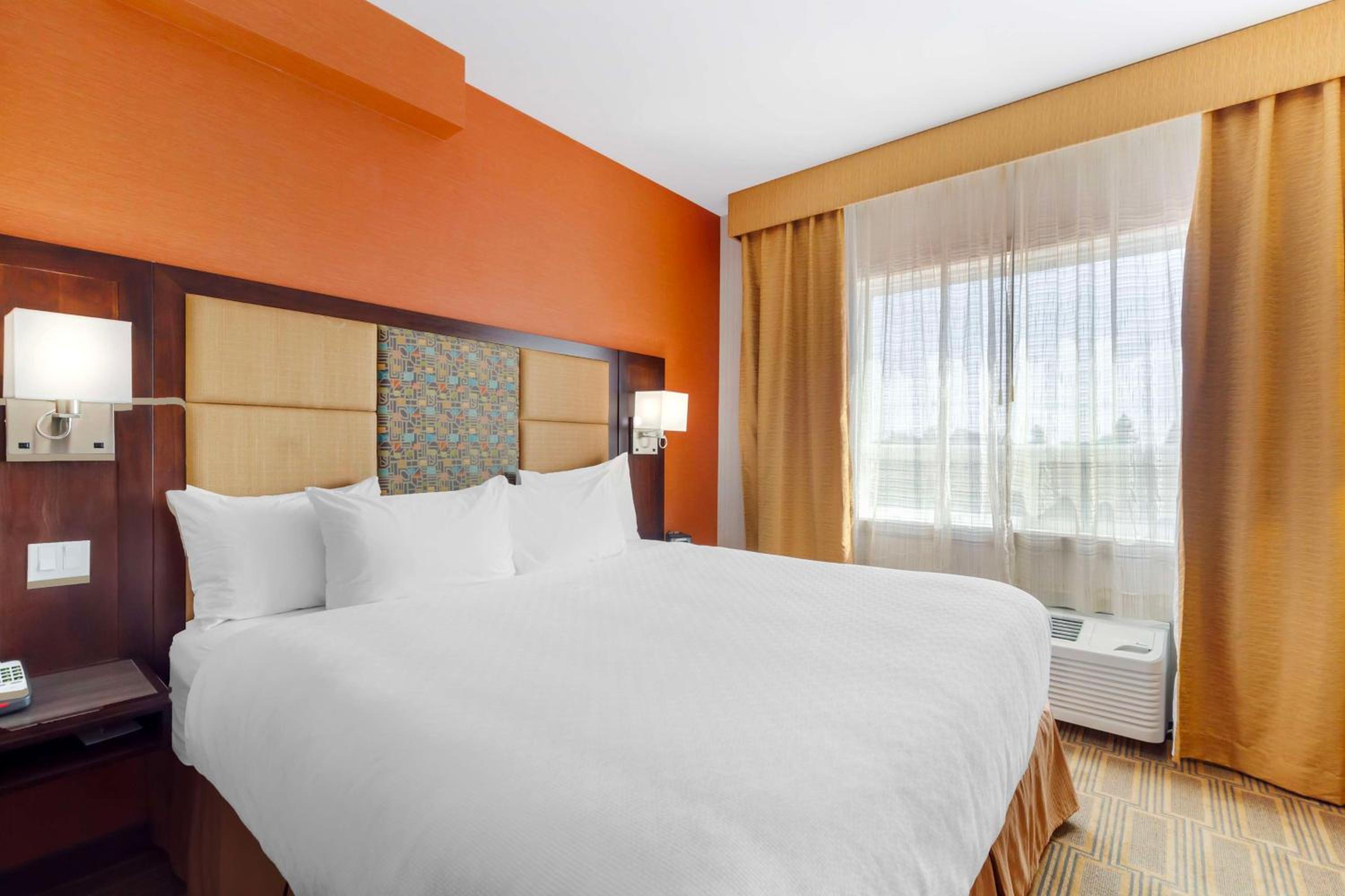 Executive King Room photo 1