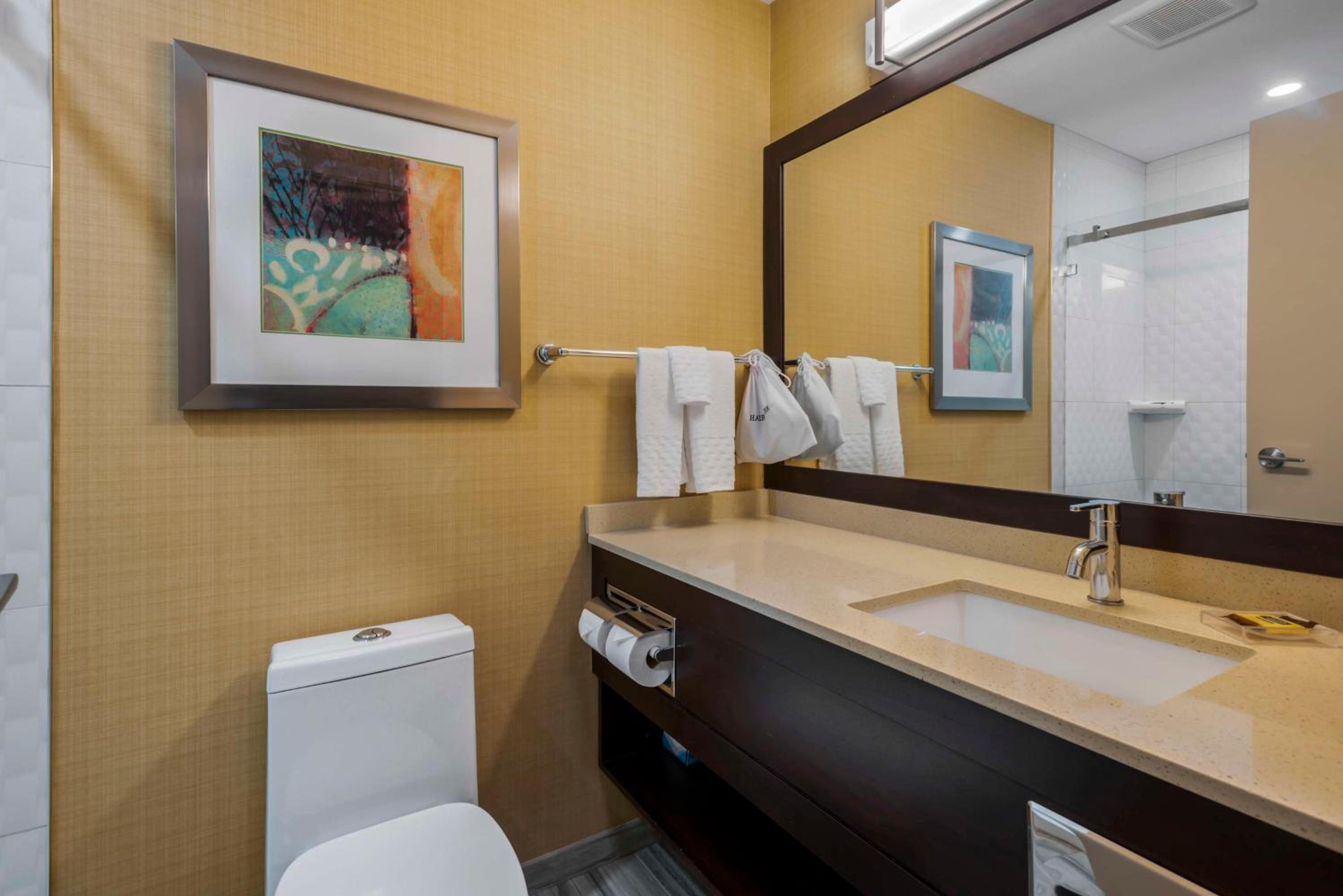 King Room with Sofa Bed and Kitchenette