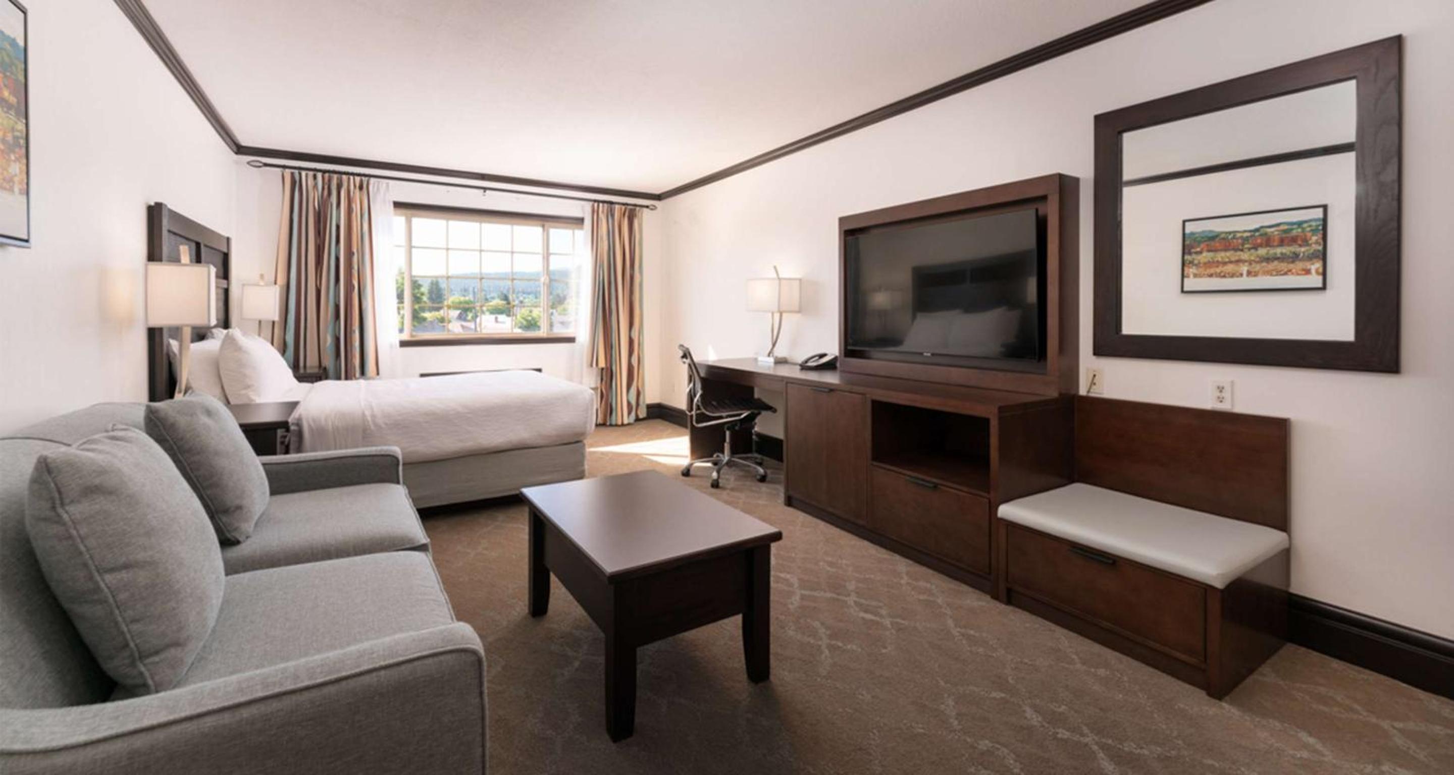 Queen Suite with Sofa Bed - Photo 1