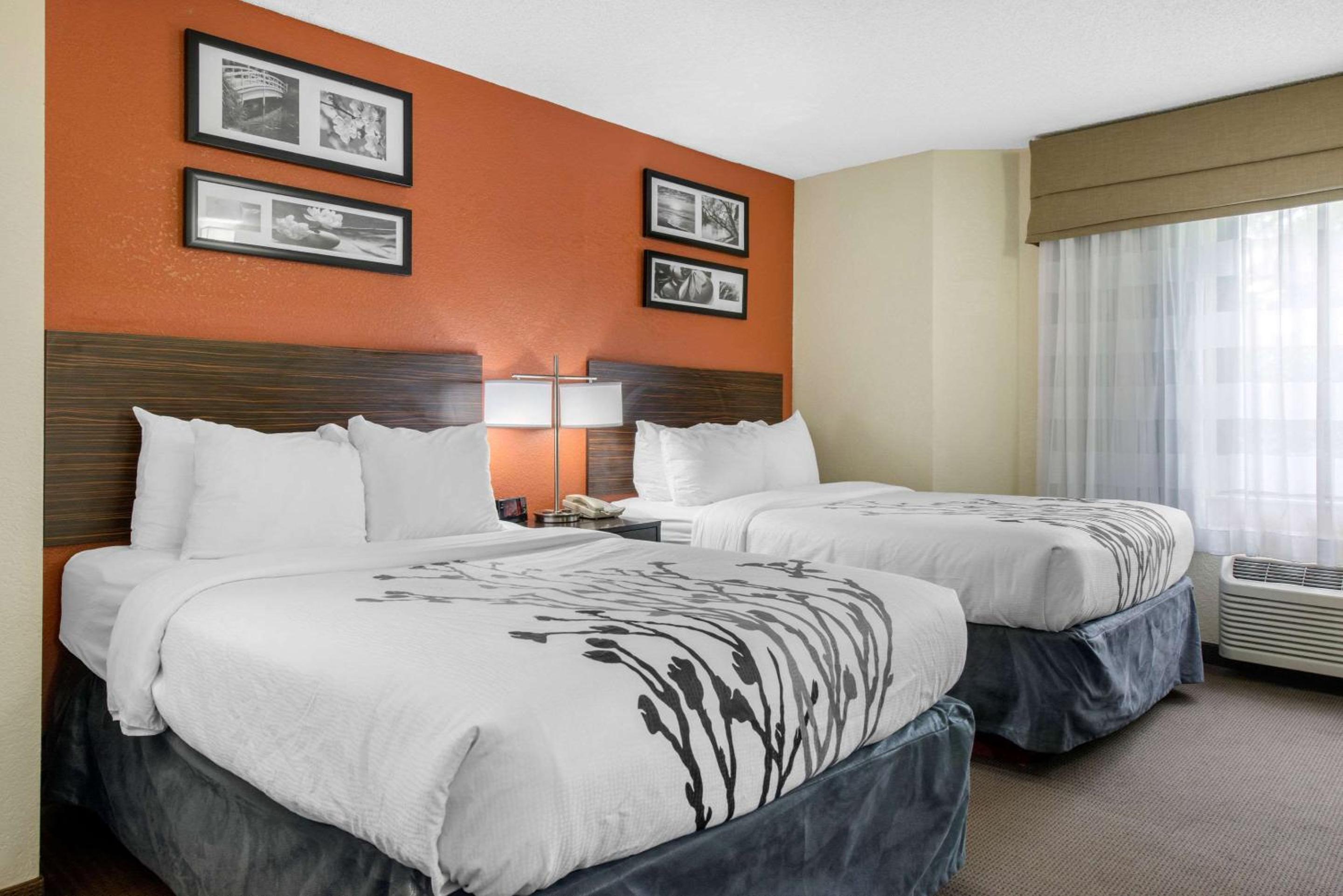 Standard Double Room with Two Double Beds - Non-Smoking - Photo 1