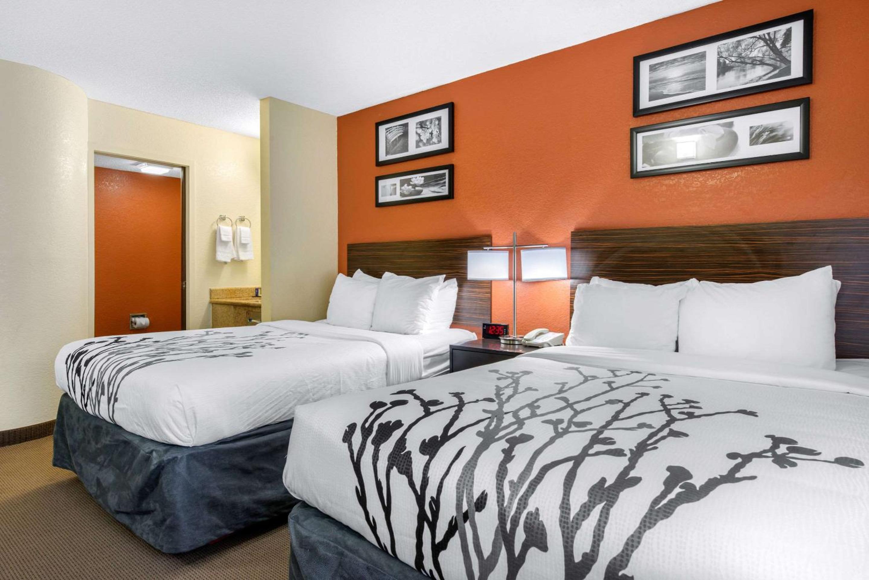 Standard Double Room with Two Double Beds - Non-Smoking - Photo 4